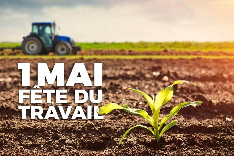 La fête du travail