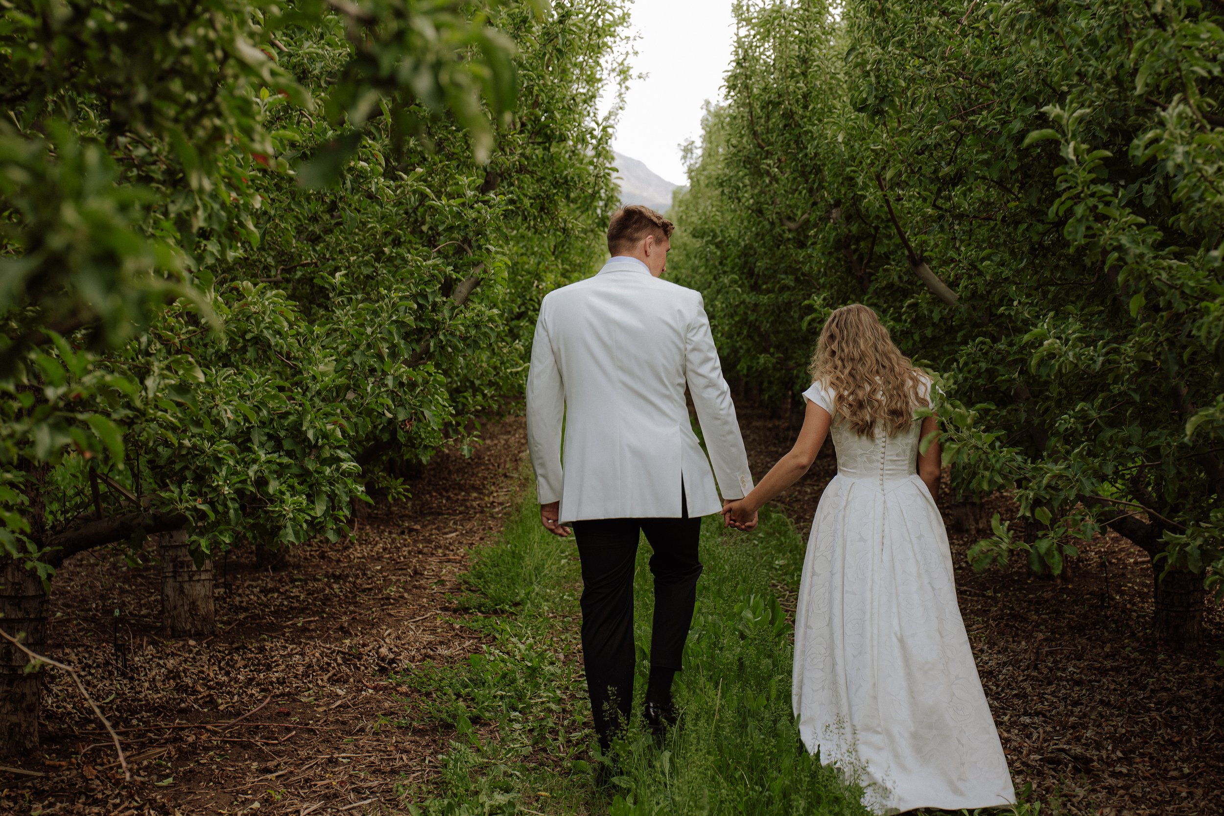 Hidden Orchard