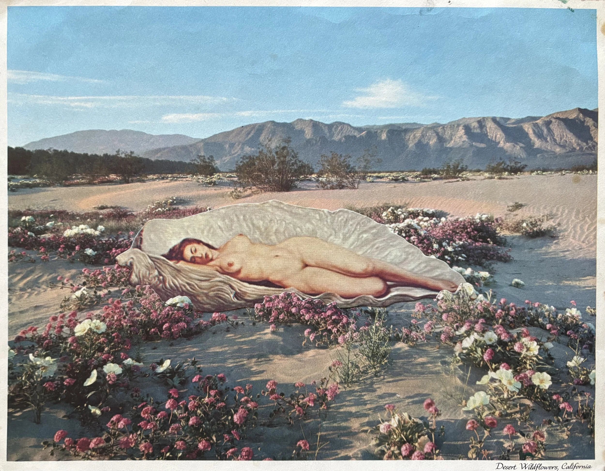CaliforniaDreaming.jpg
