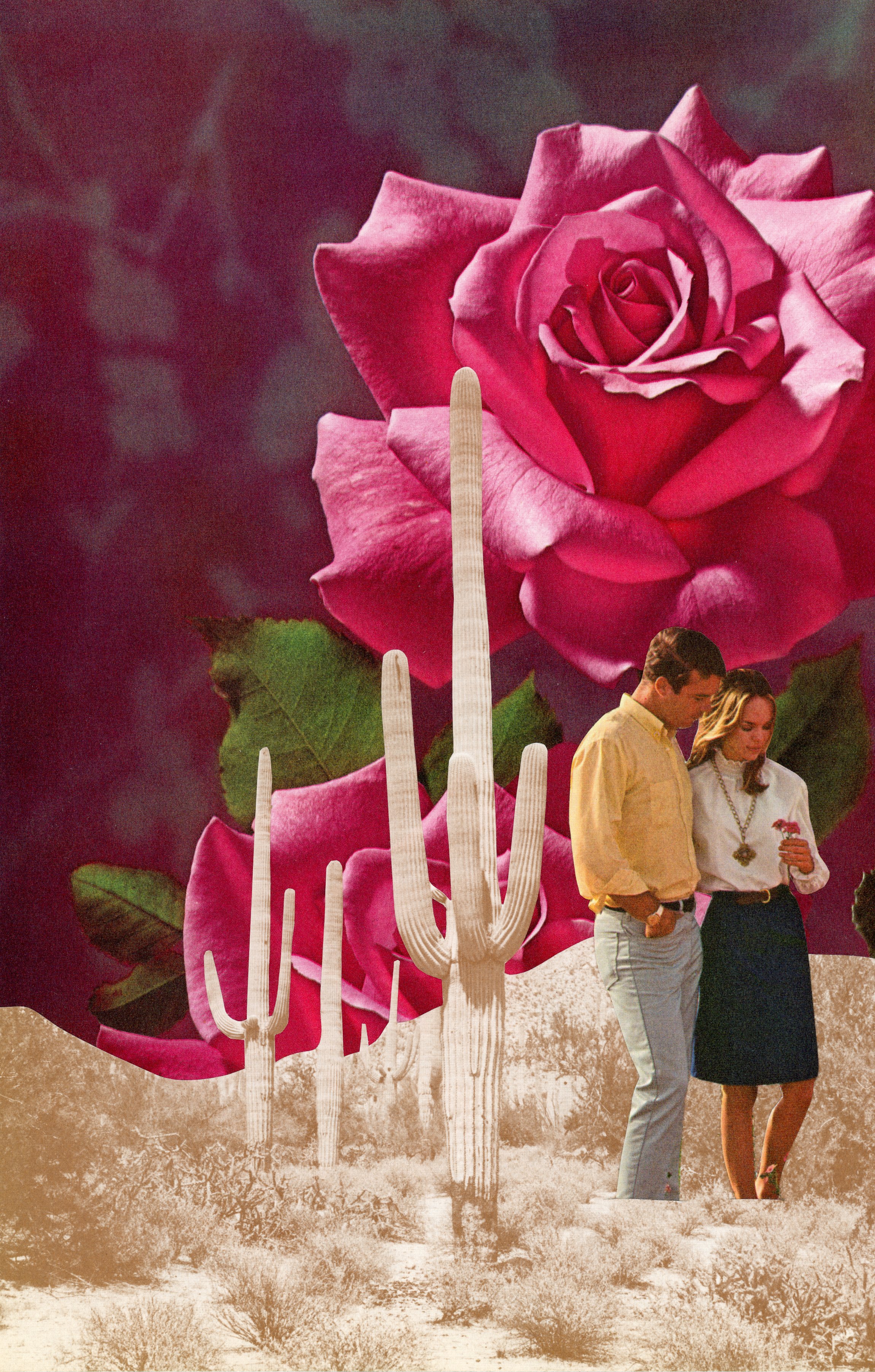 Desert Rose.jpg