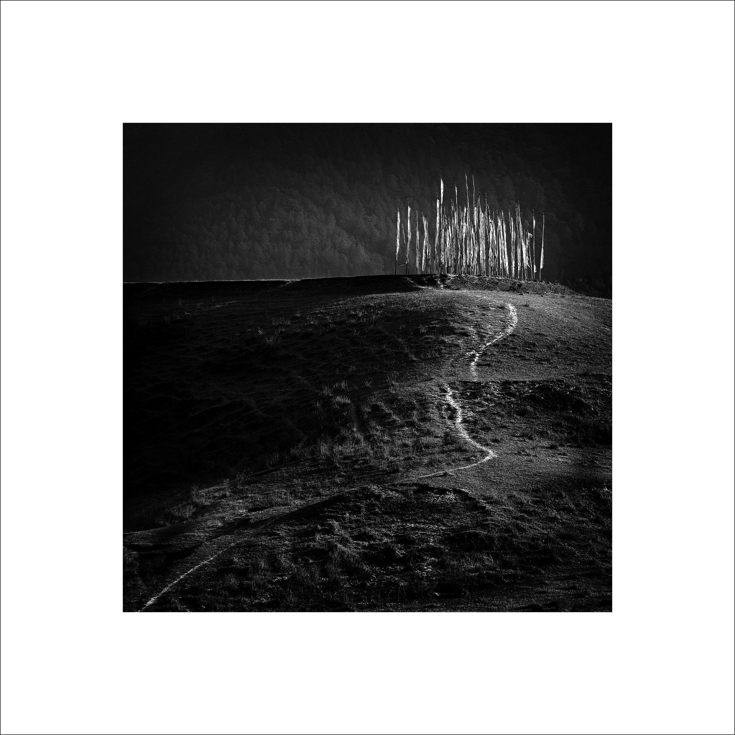 Path   (Print from edition of three)