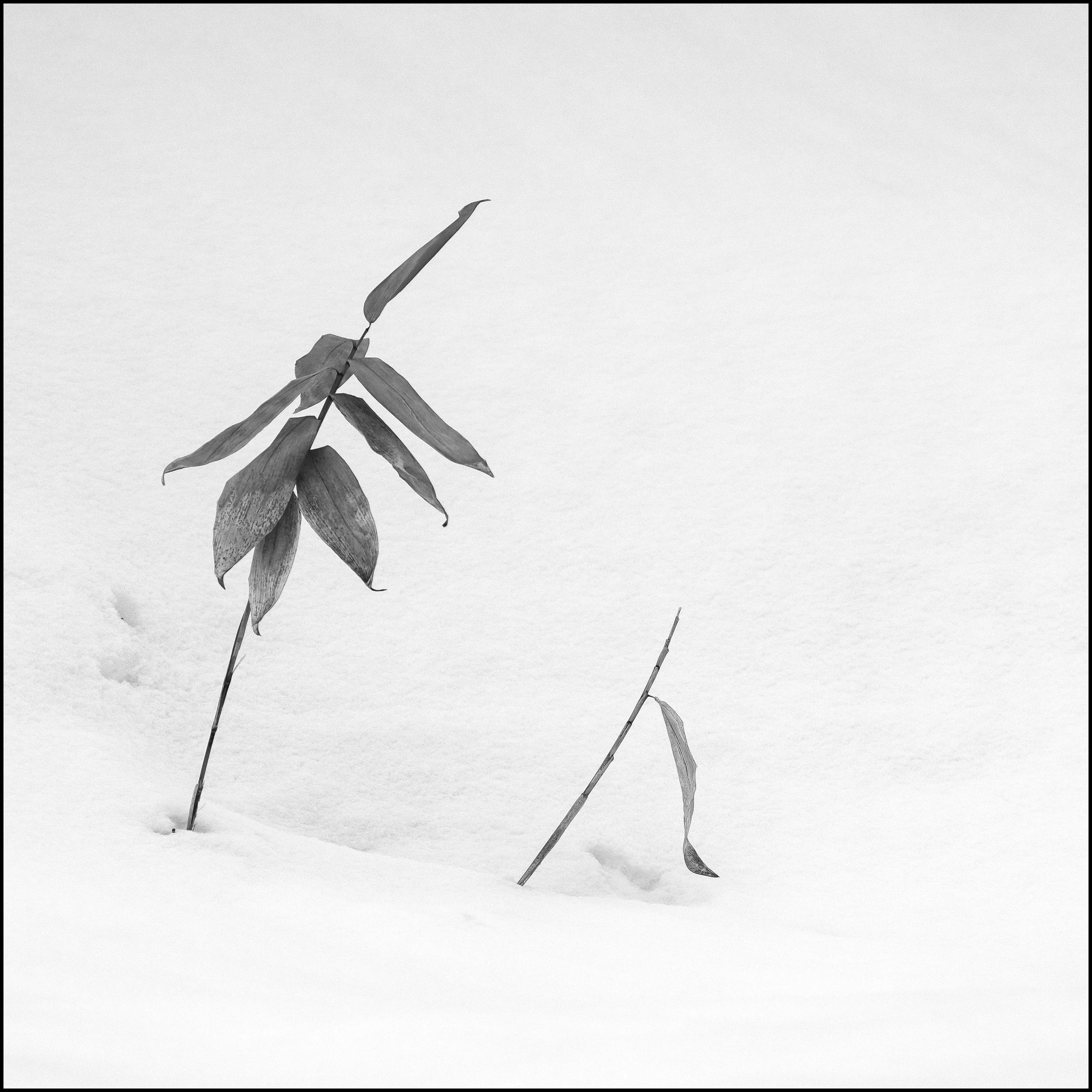 My last photo tour for now…