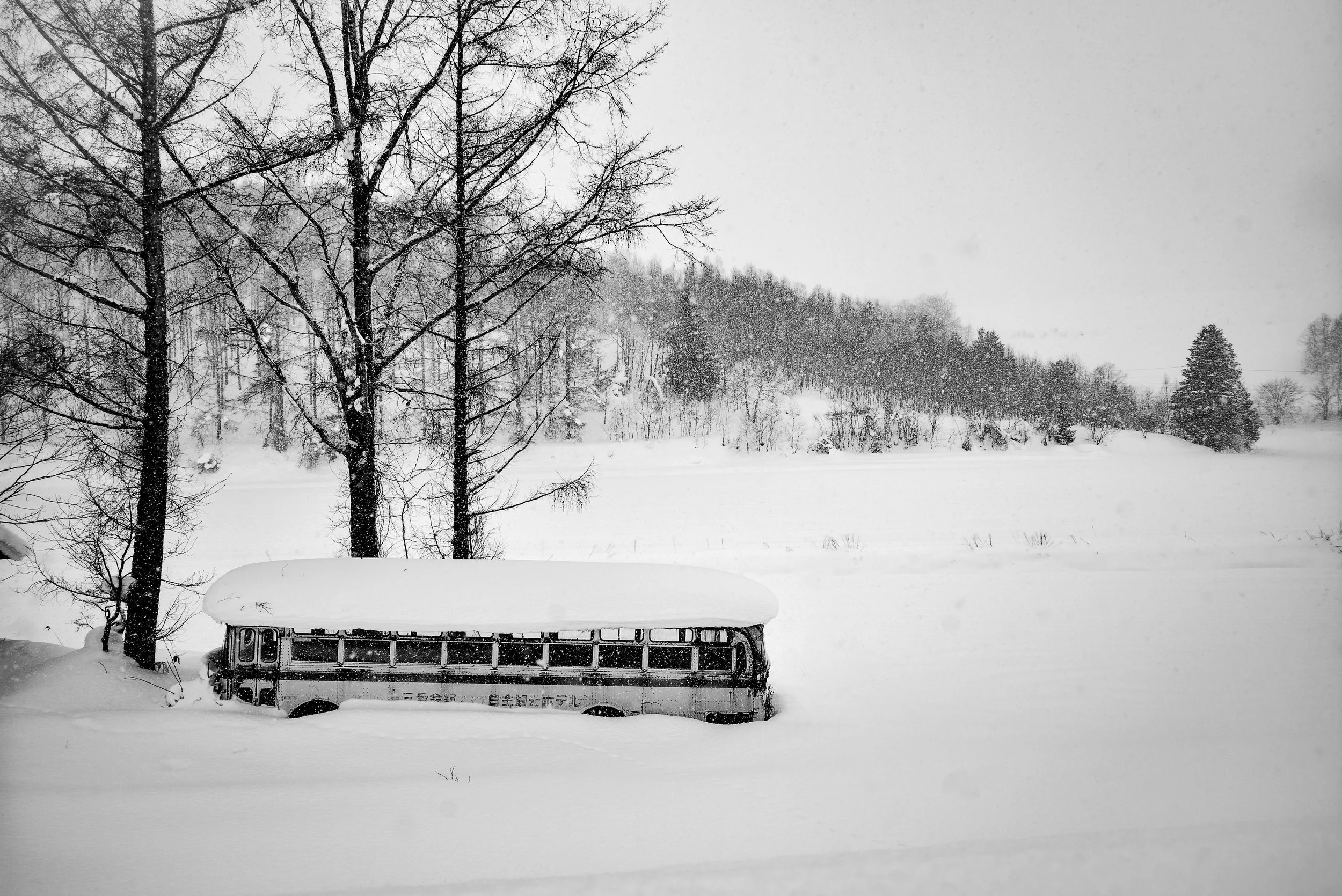 an old bis now-covered in a landscape with bare trees in the foreground and a hill with more trees in the background, snow falling heavily.
