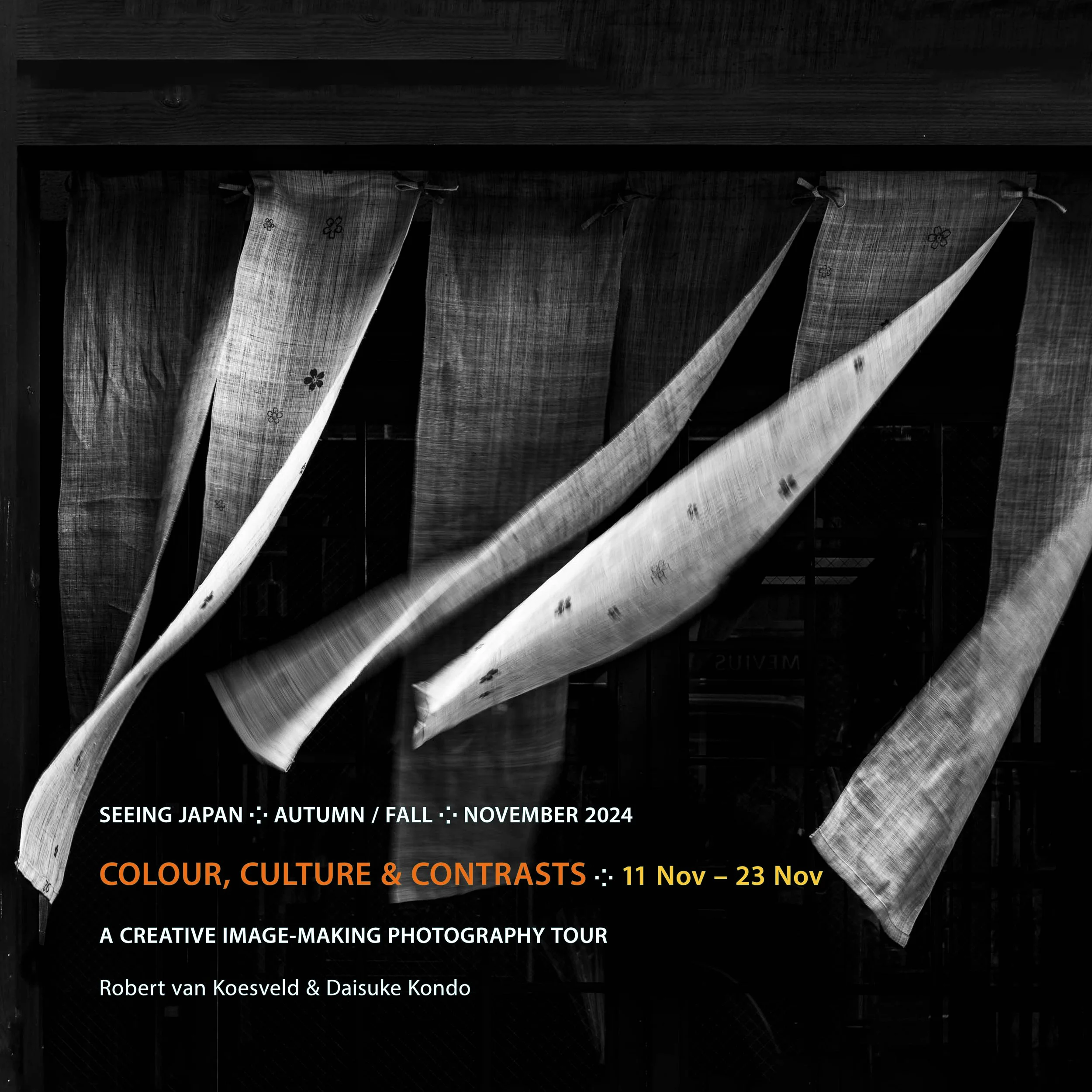 Image of Geiko in Autumn on Brochure for Photo Tour
