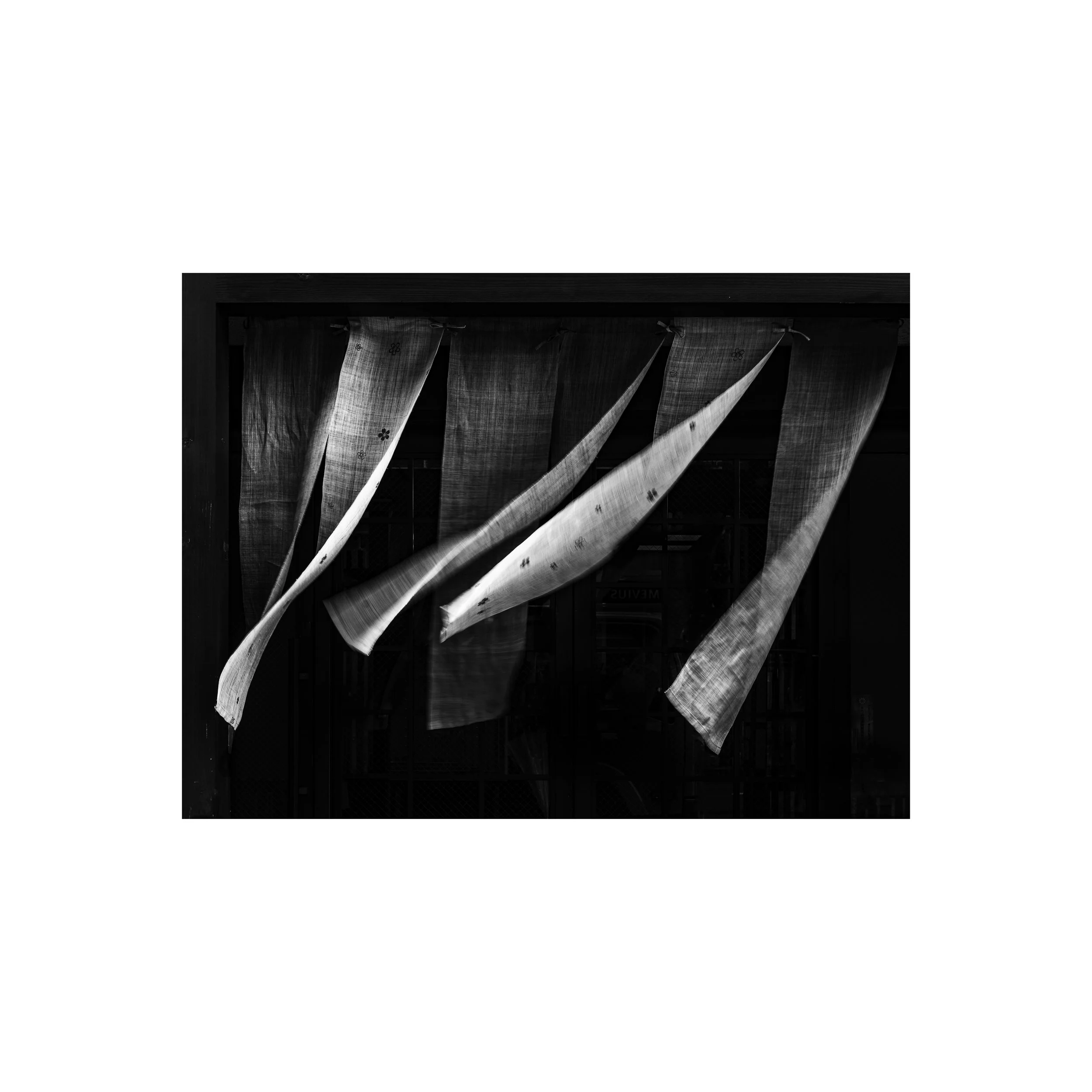 NOREN blowing in the wind in a doorway