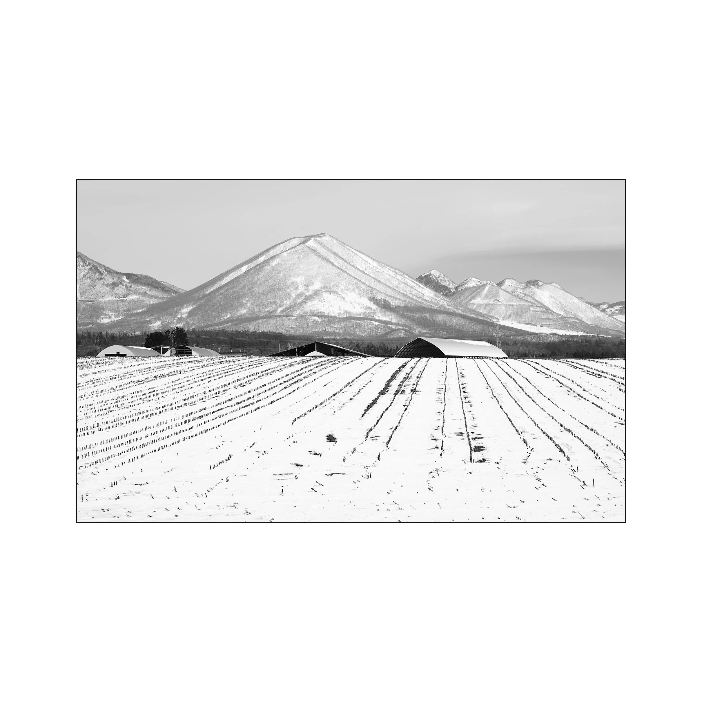 Snow-covered mountains with farm fields and buildings in the foreground, captured in black and white.