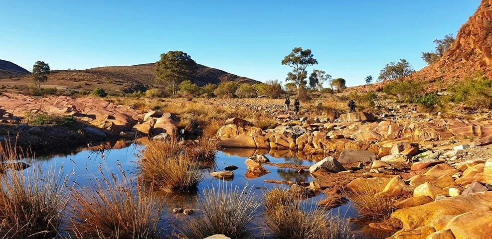 Mount Little Station