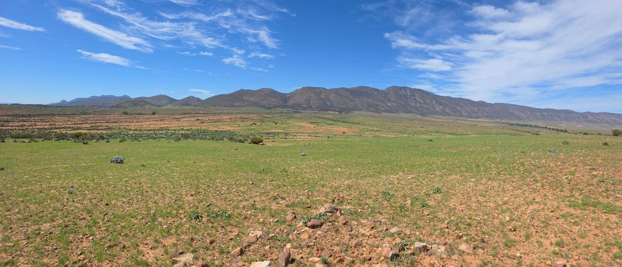 Mt Little Station