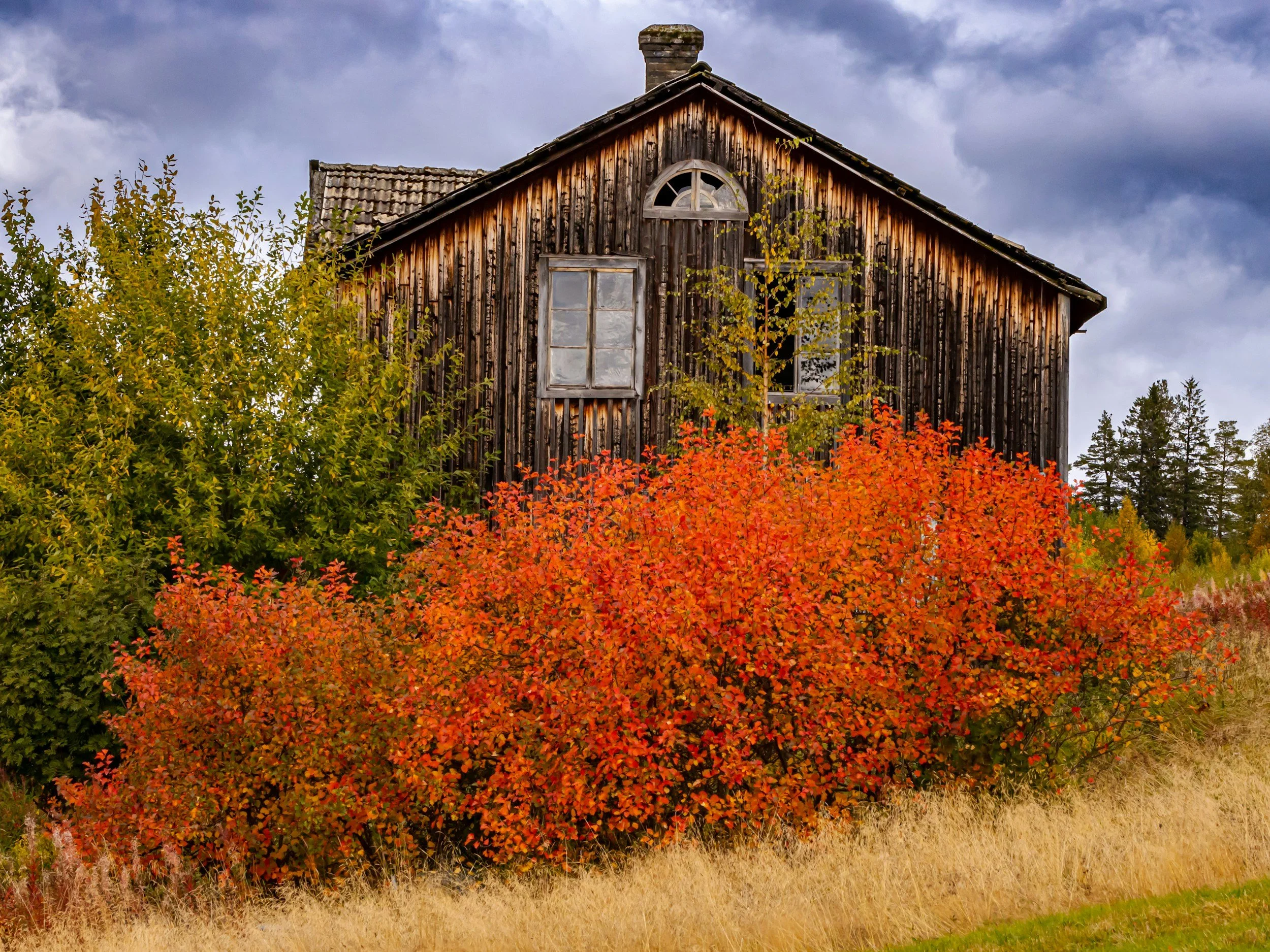 The Fall Marin Housing Market: What Buyers & Sellers Need to Know