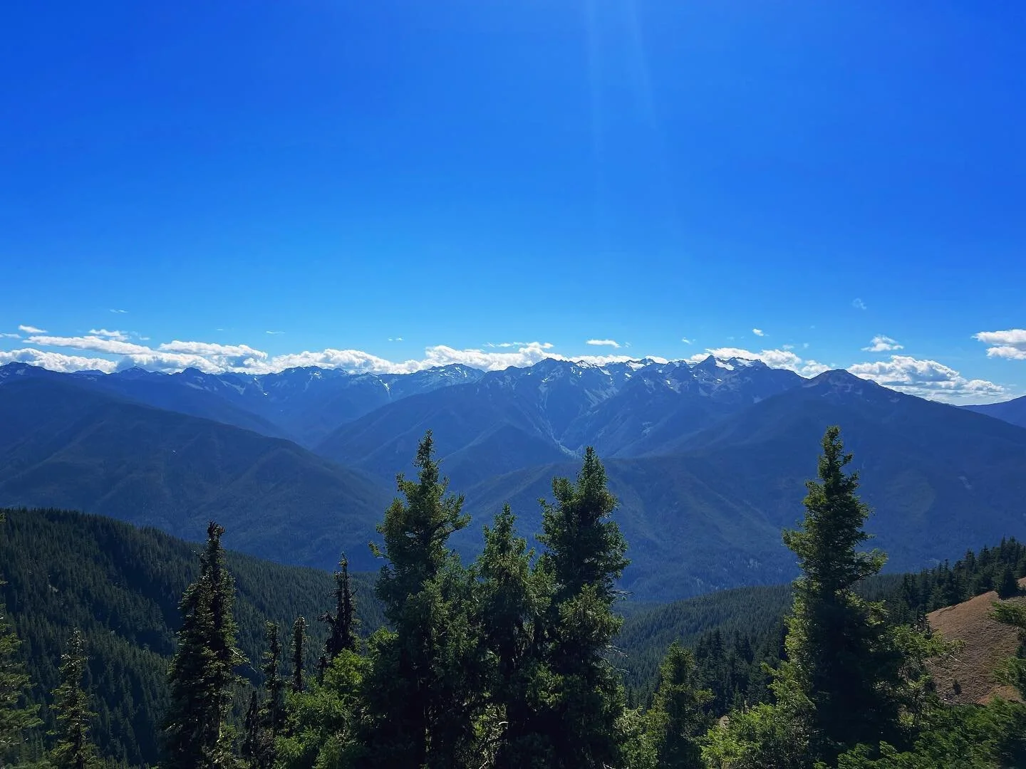 Mount Olympus from Hurricane Hill. 🏔🌲🌻🏕🌎😎

#1962aloha #vintagetrailer #olympicpeninsula #olympicnationalpark #elwhariver #vintagecamper #homeiswhereyouparkit #traveltrailer #campingvibes #camperlife #camperlifestyle #sotf #nationalparkgeek #gir