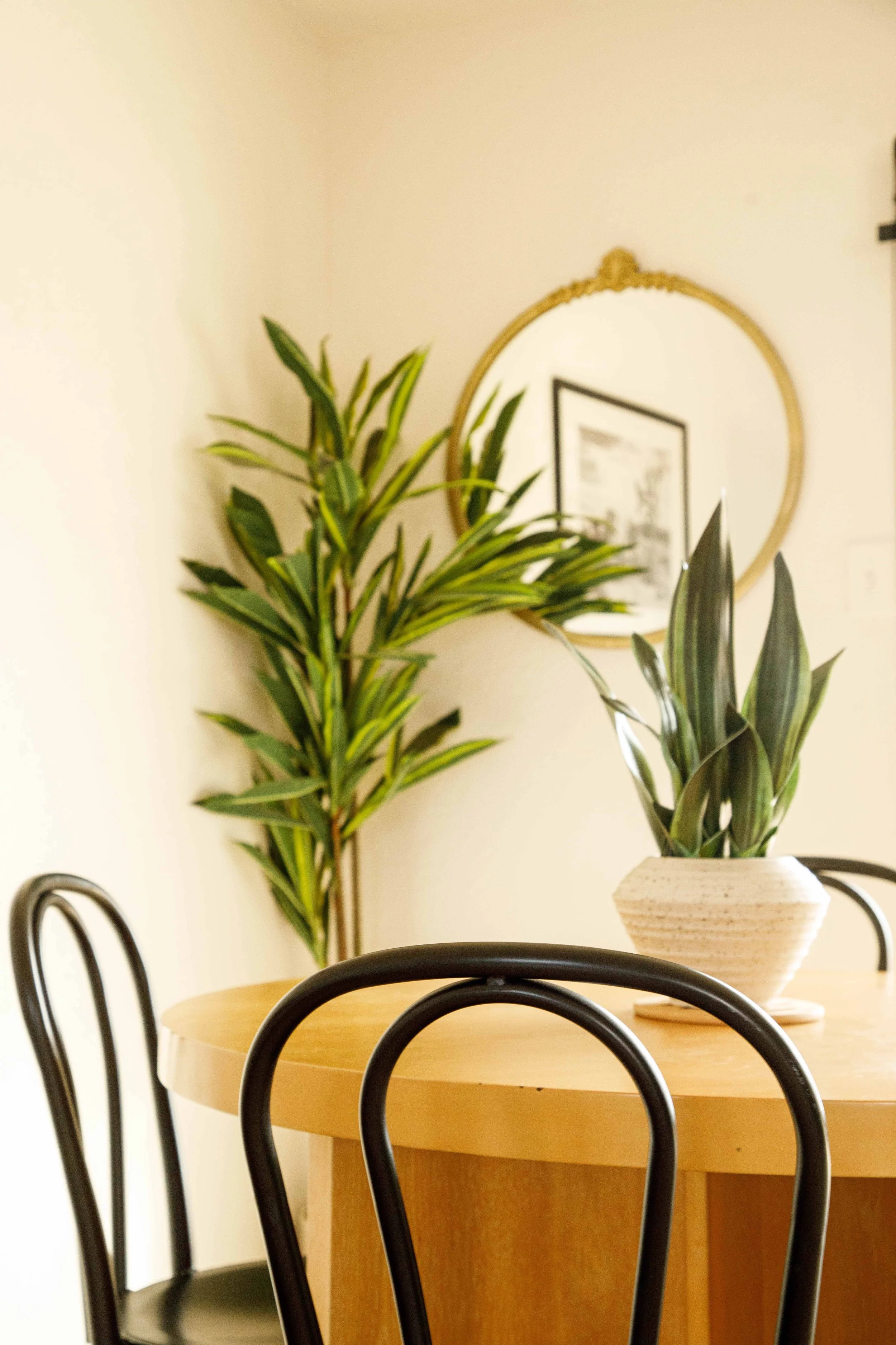 Retrograde Retreat Feb102026-9.jpg