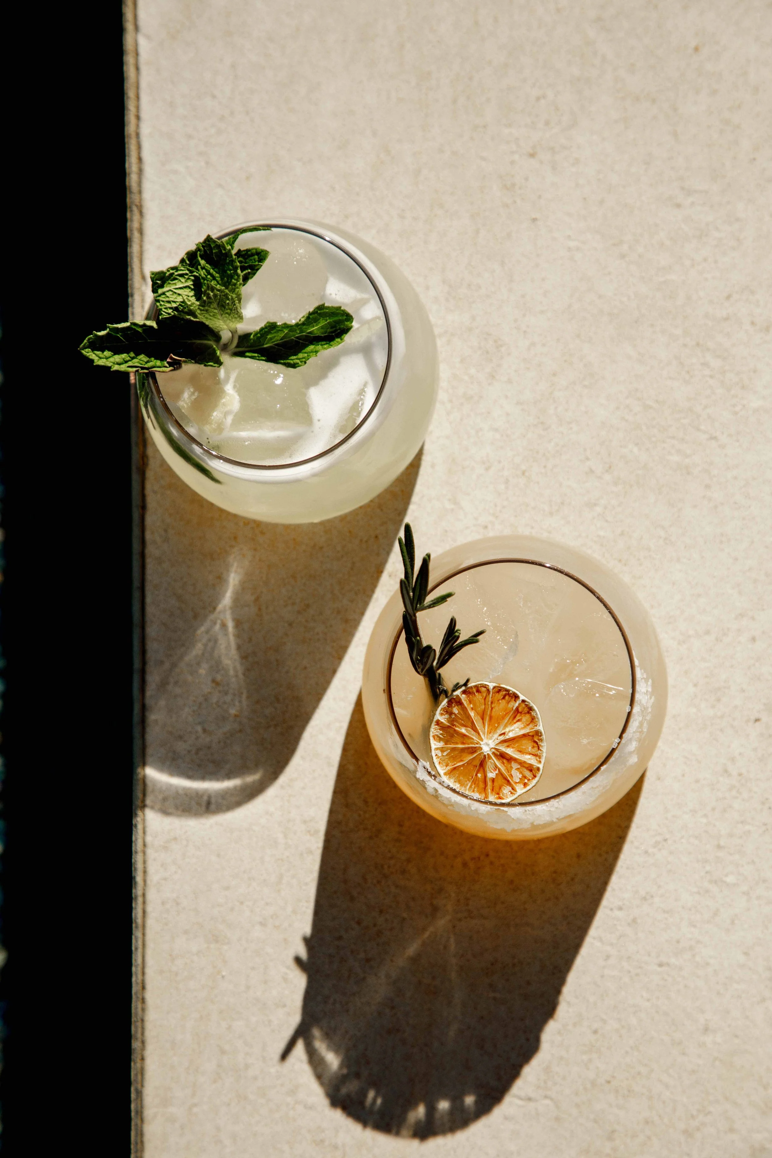 TTS Lifestyle 2026-1.jpg