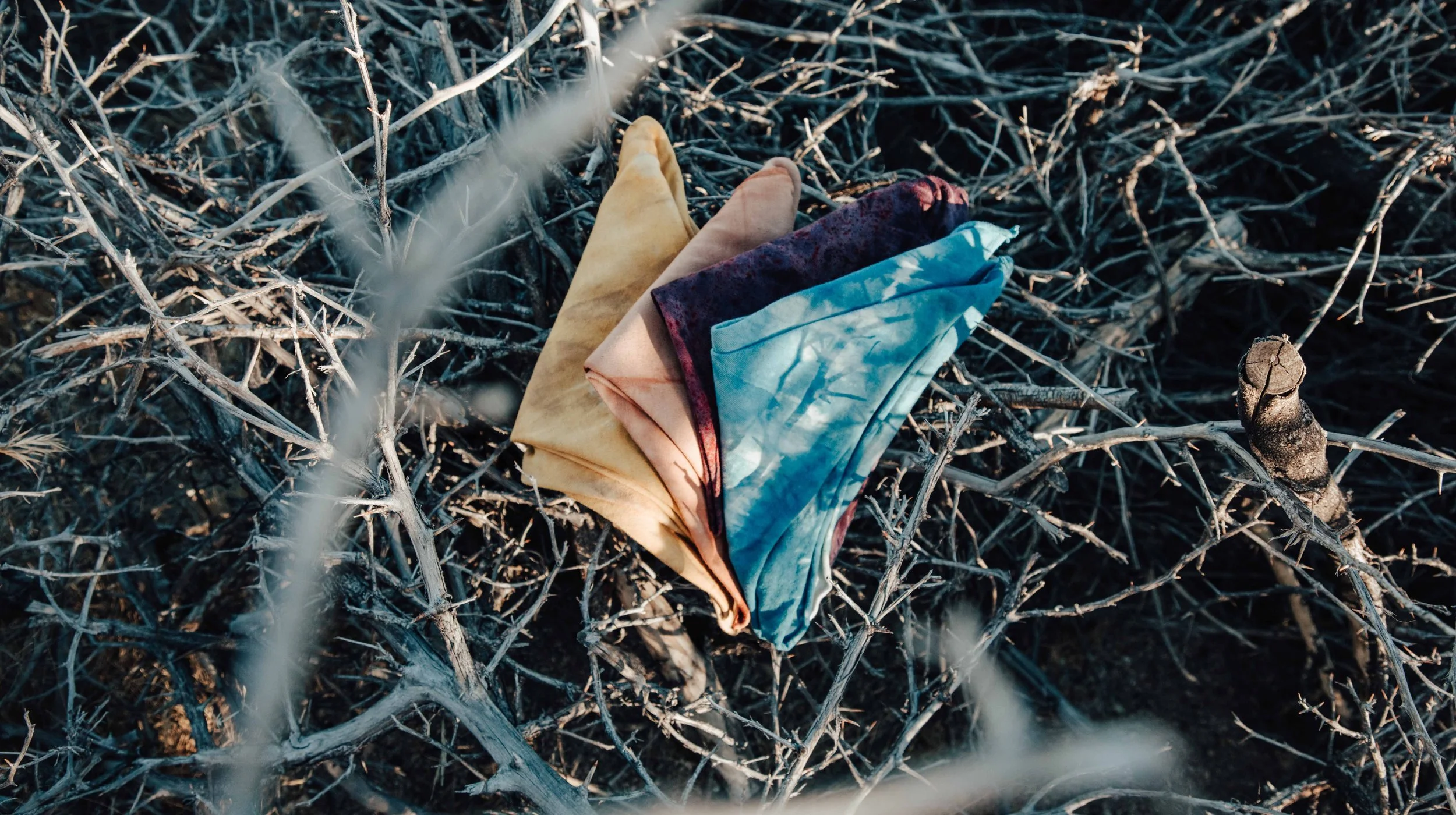 Imbued Aug2020 12.jpg