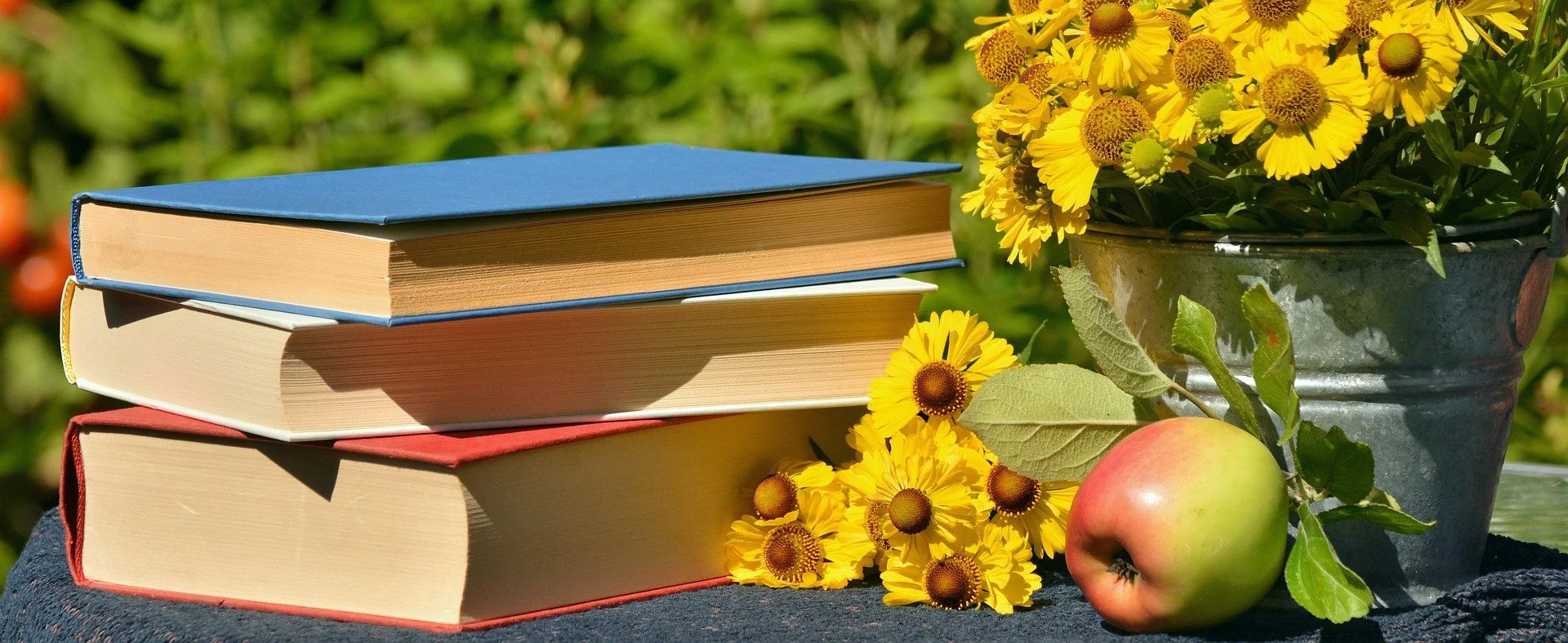 GCSE &amp; A Level preparation
