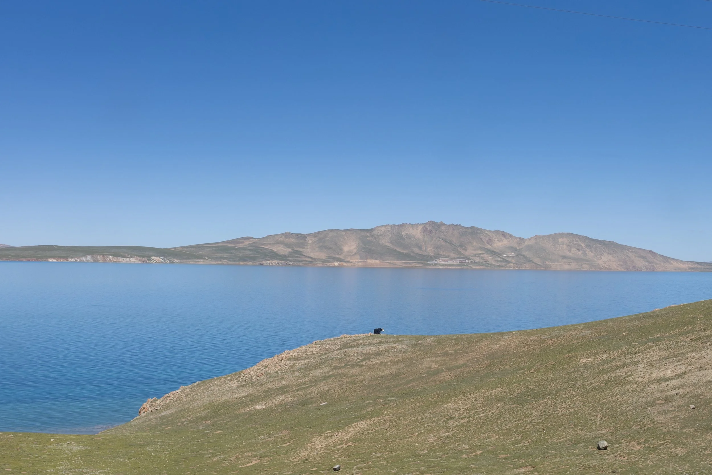 Tibet