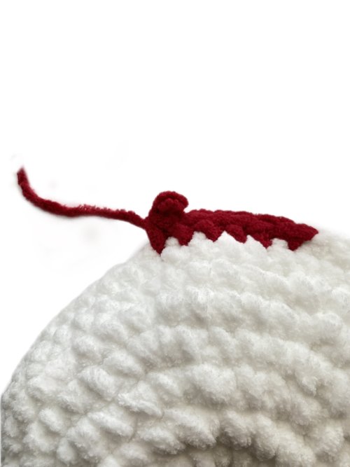 Crochet Turtle Pattern — The Mary Jay