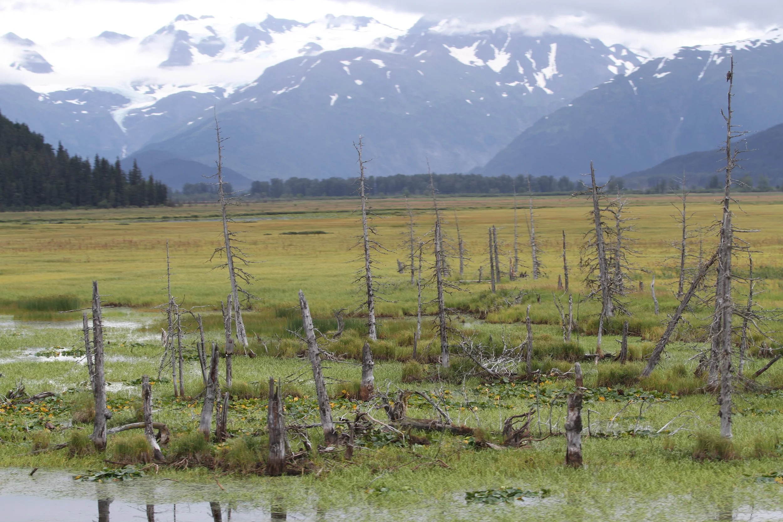 Views Along Turnagain Arm