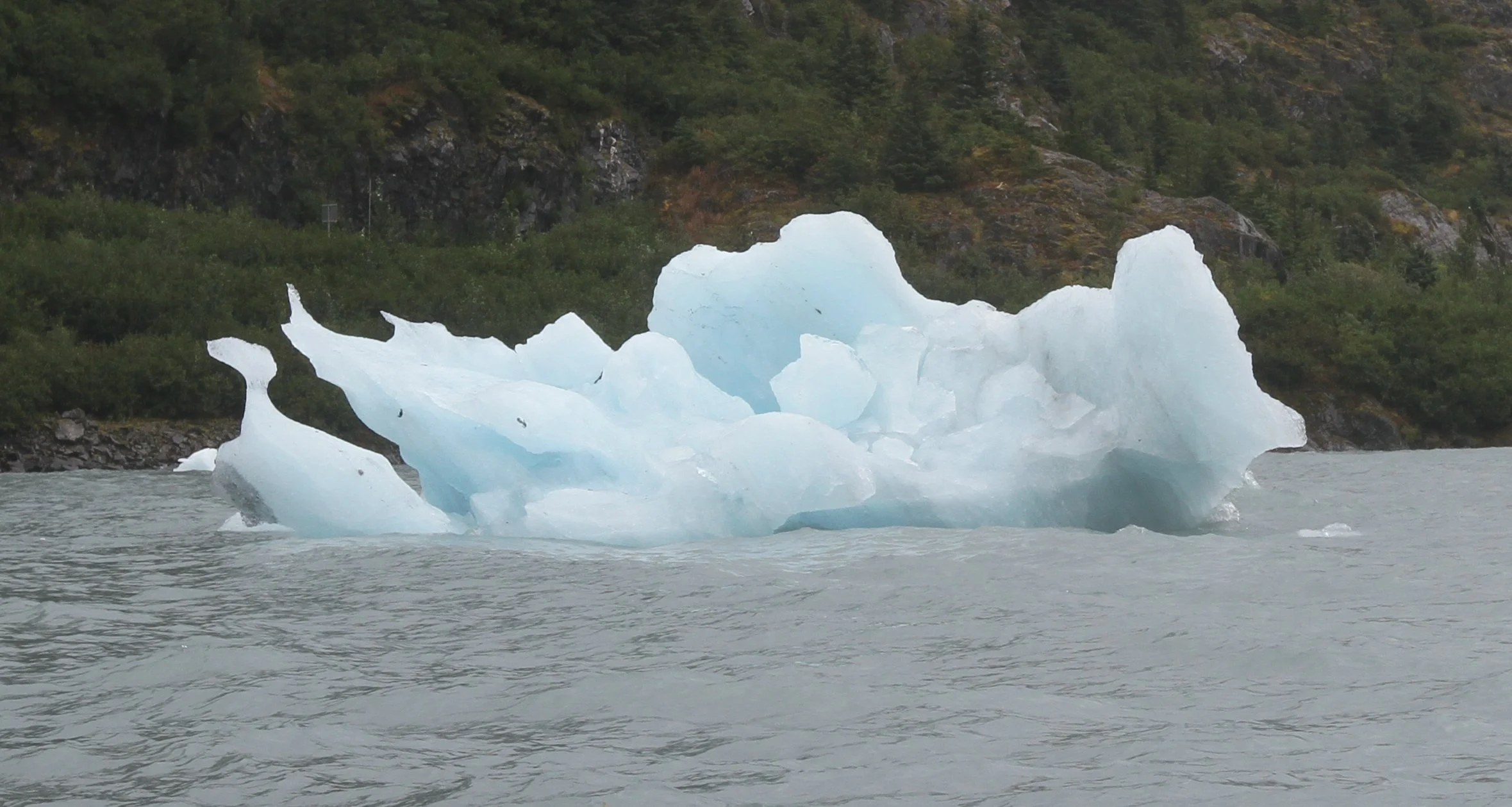 Iceberg on Portage Lake