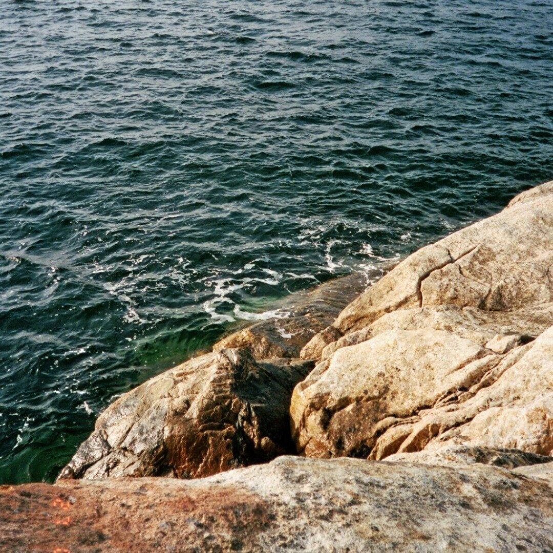 wilde natur #analog