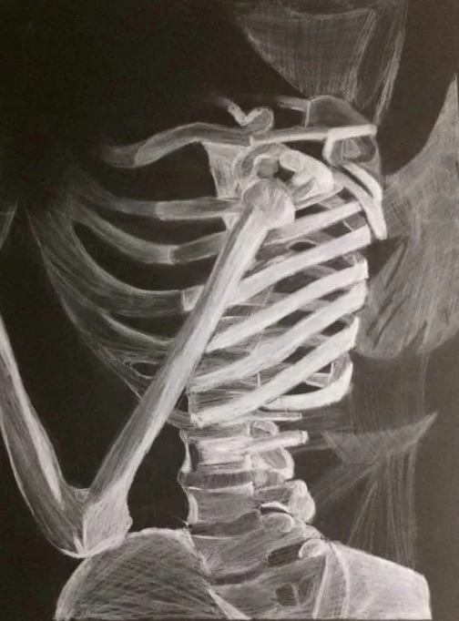 Anatomy