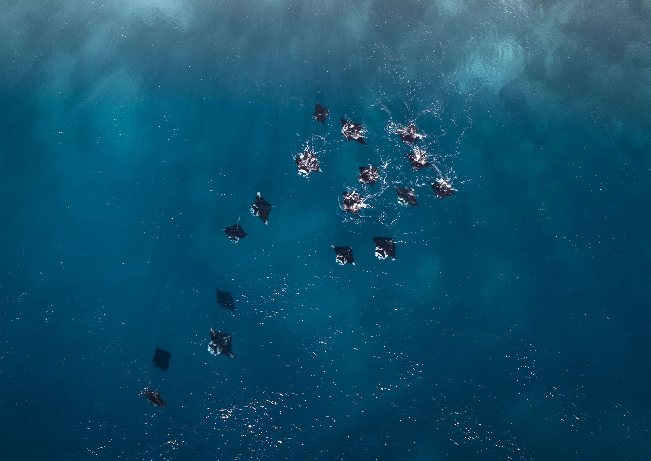 DJI_0163.jpg
