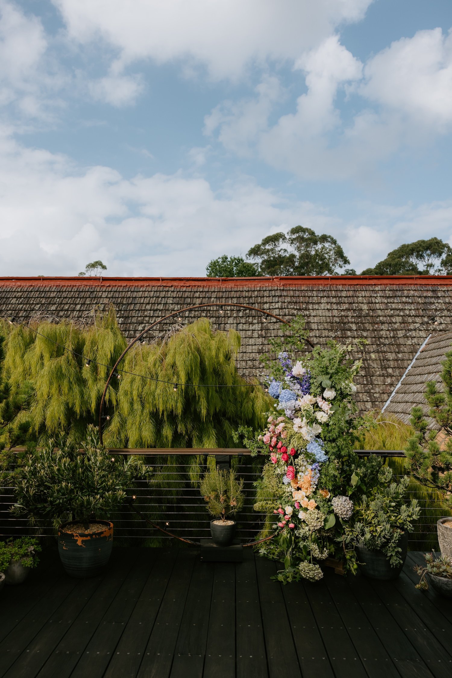 Surina & Chris-259.jpg