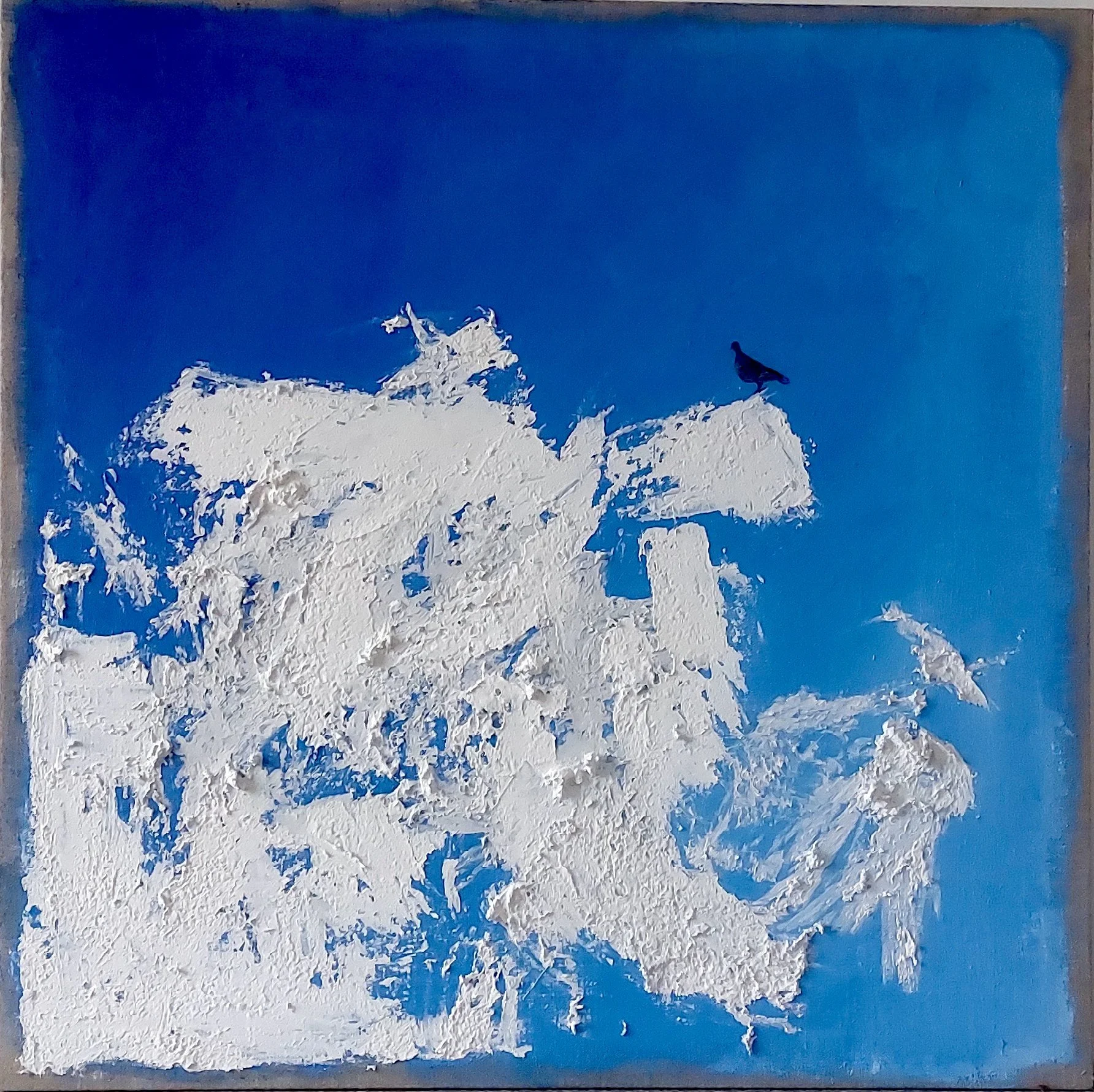 Free Bird,2024. Acrylic,oil/Linen canvas - 70 x 70cm Framed / sold