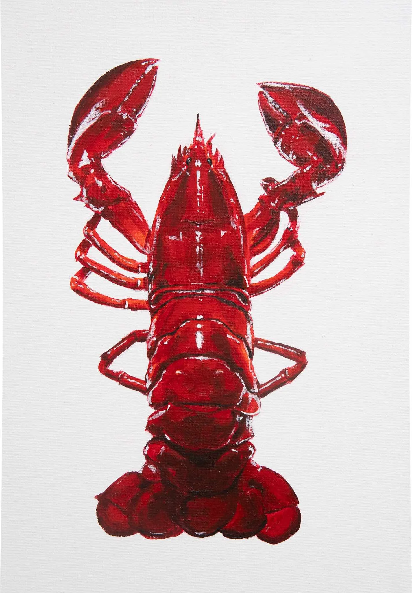 Cray fish,2023. Oil/canvas - 30x40cm Framed /sold