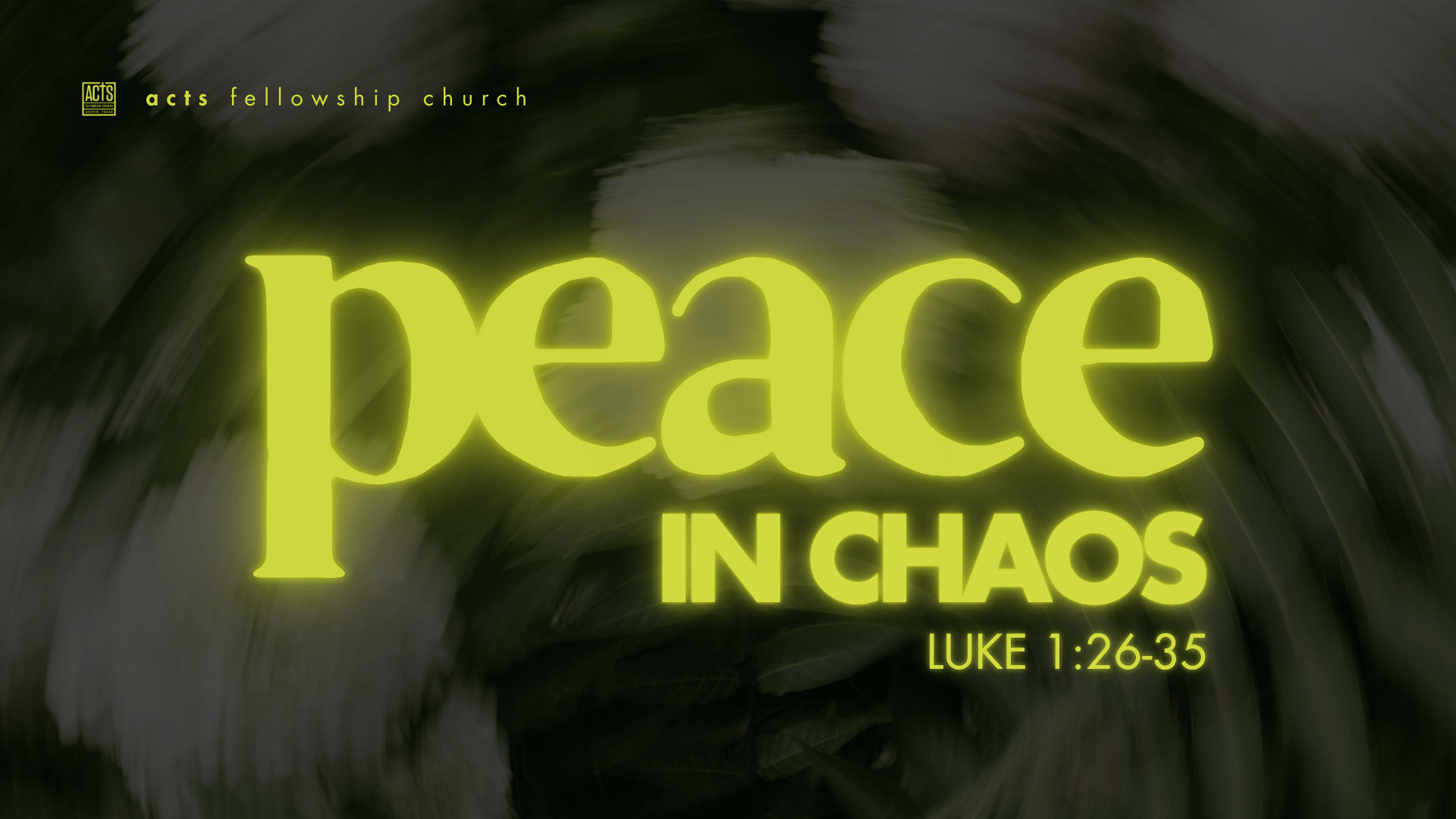 Peace in Chaos