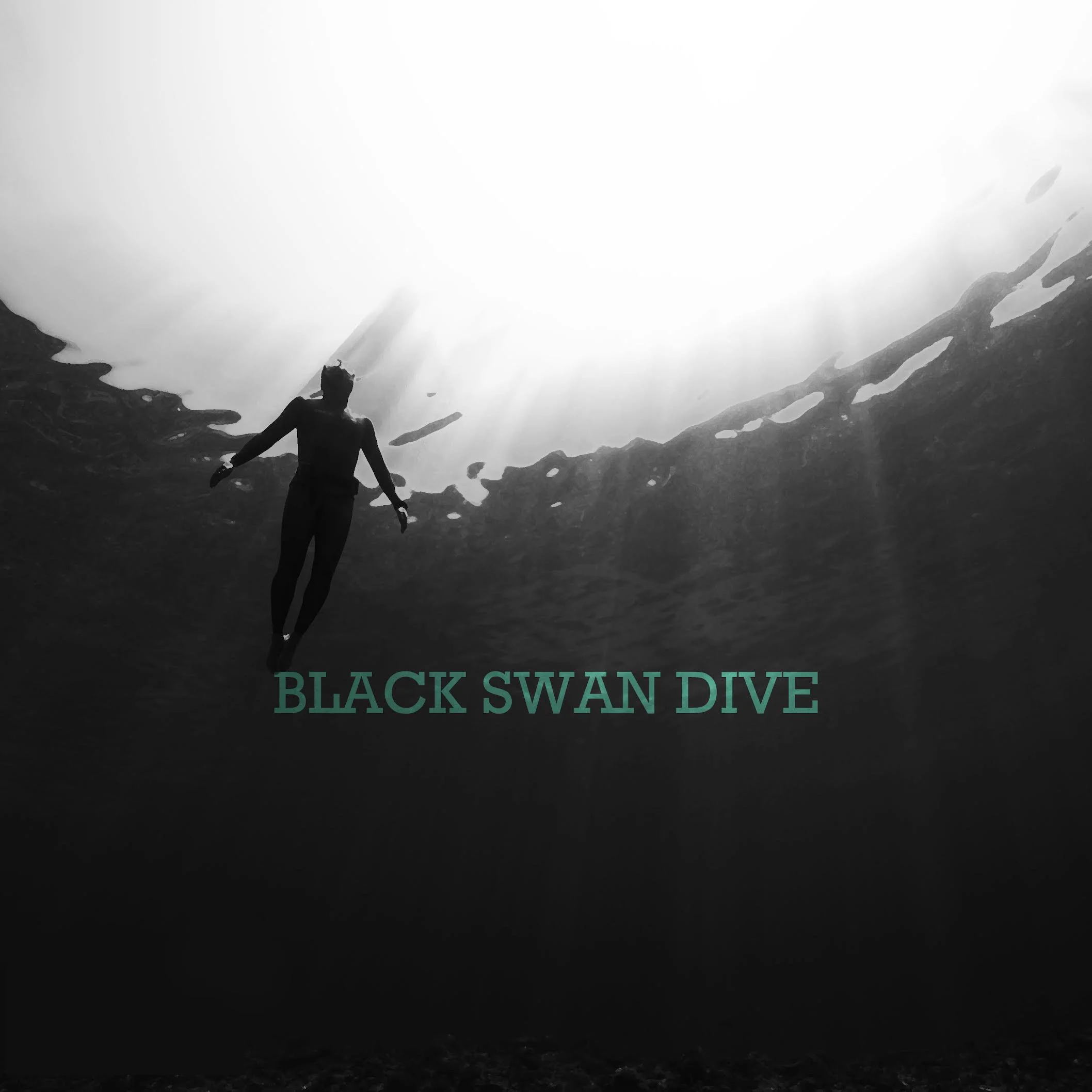 A review of “Black Swan Dive”