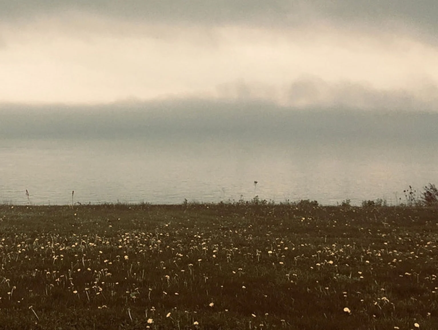 VOYAGR / Tobias &amp; the Pyre