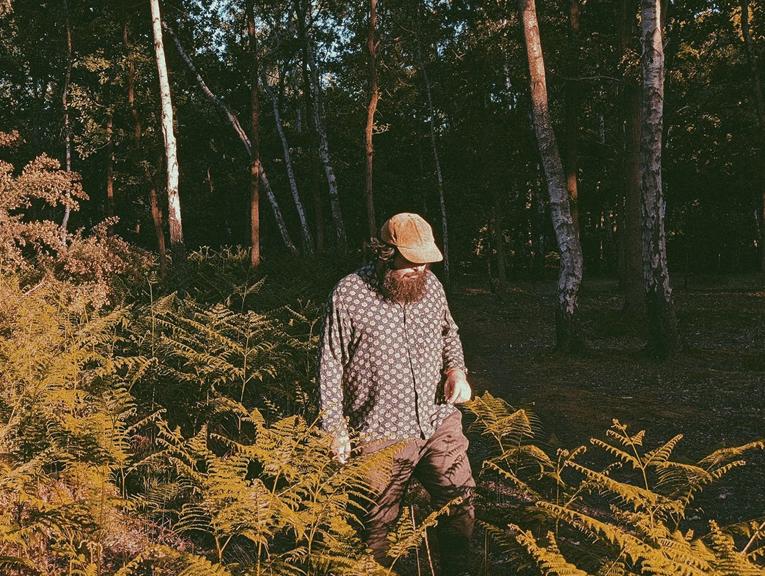 Brown Bear Collective - “Fever”