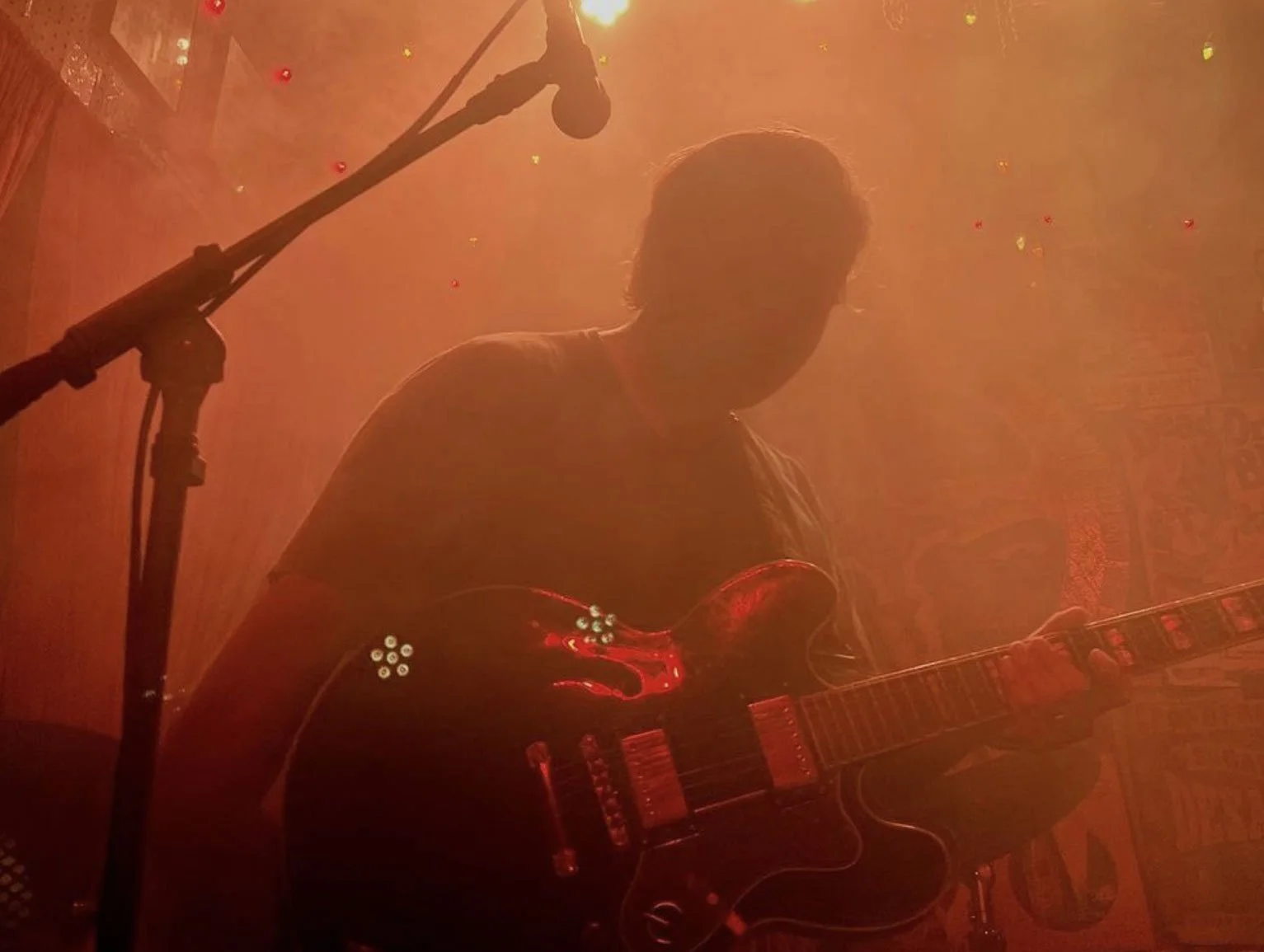 Hotel Hugo - “Redwood”