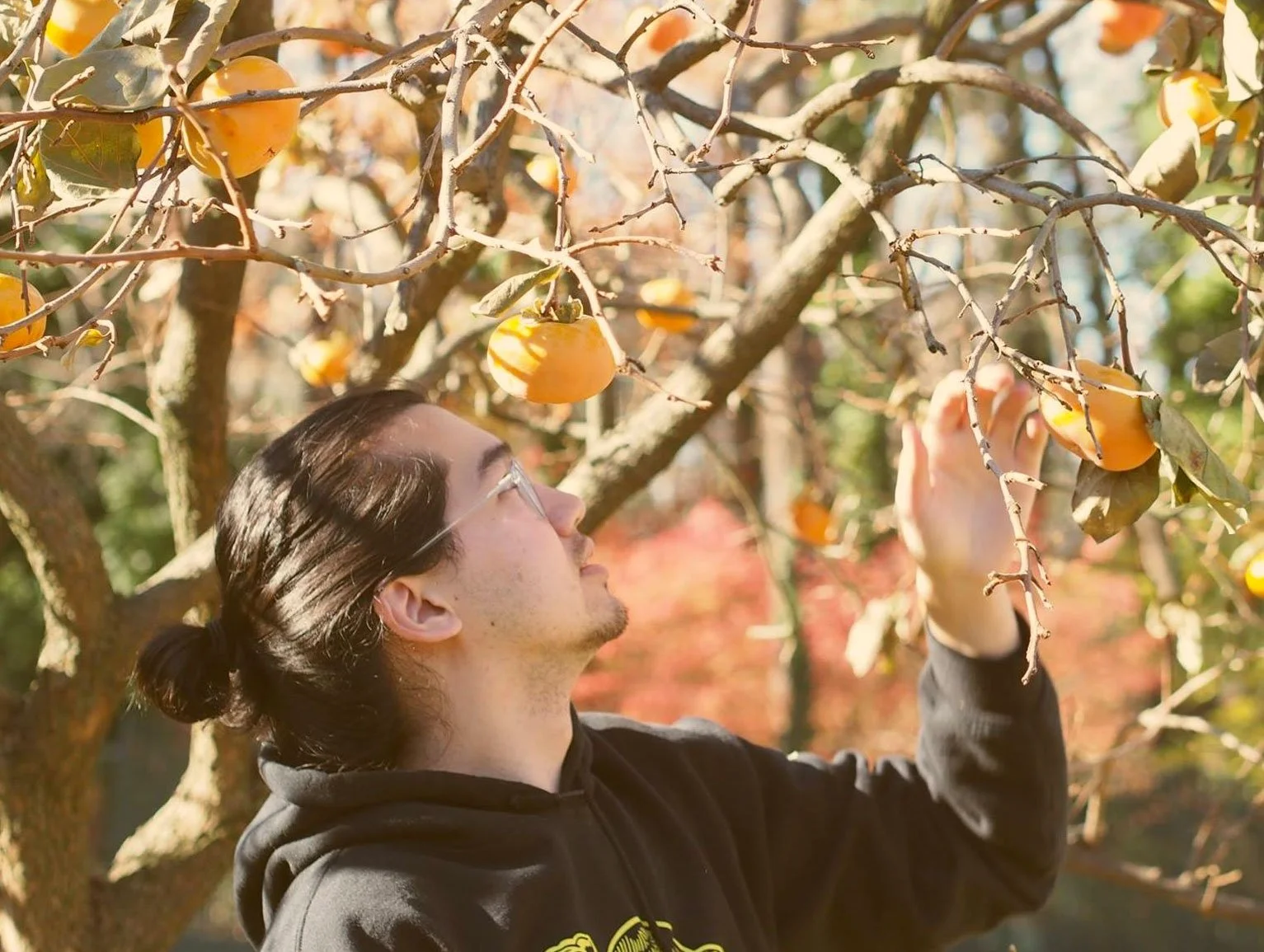 yllwblly - “Take More”