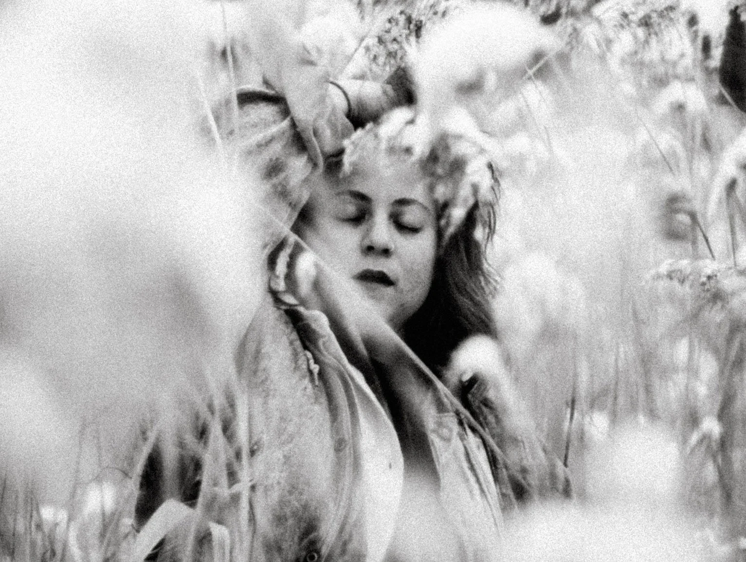 Cyote - “none the wise”