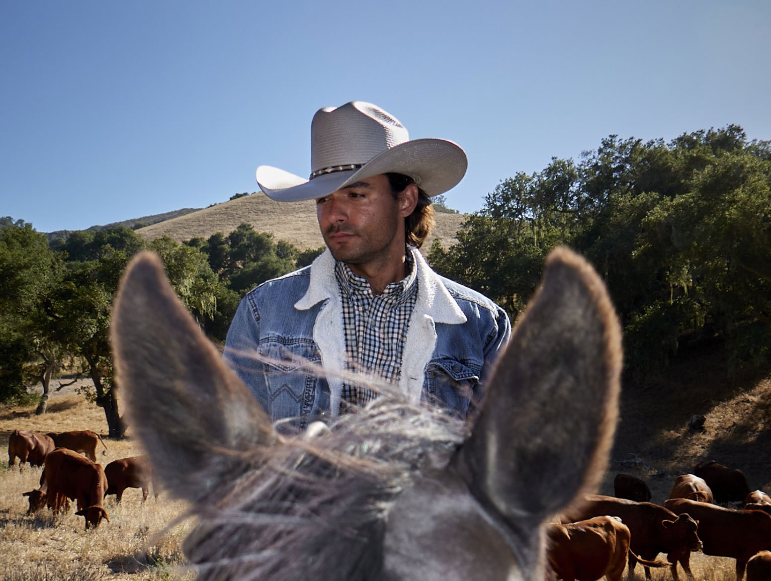 Stefan J. Selbert - “You Live Where It’s Cold”