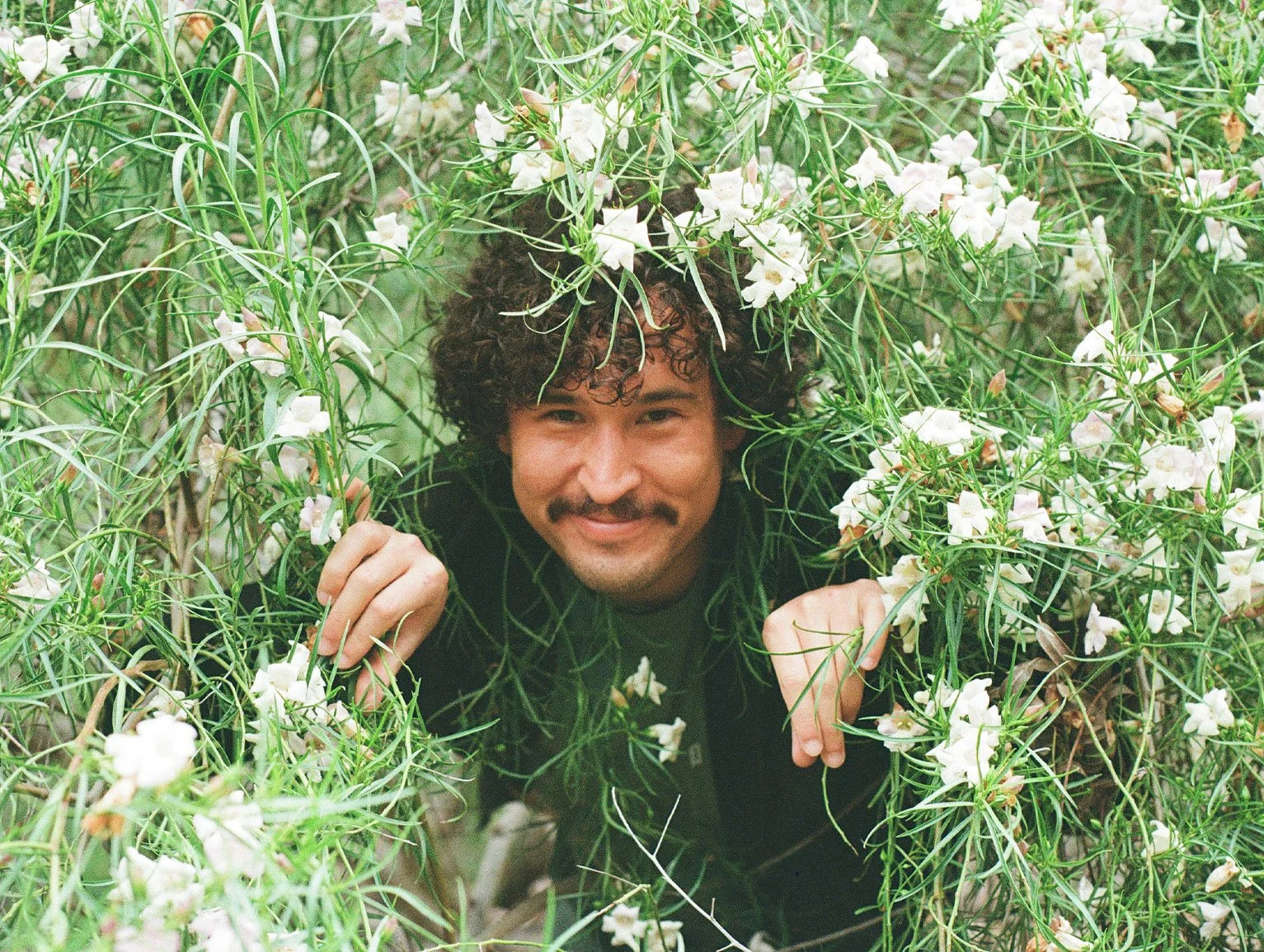 Biloba - “Little Flower”