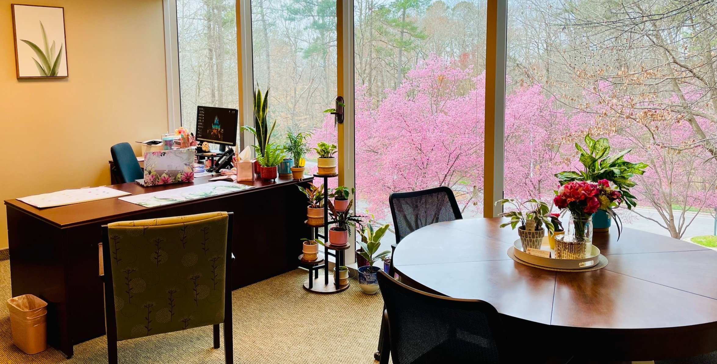 Office with a desk and a round table surrounded by chairs, decorated with potted plants, with large windows showing pink flowering trees outside.