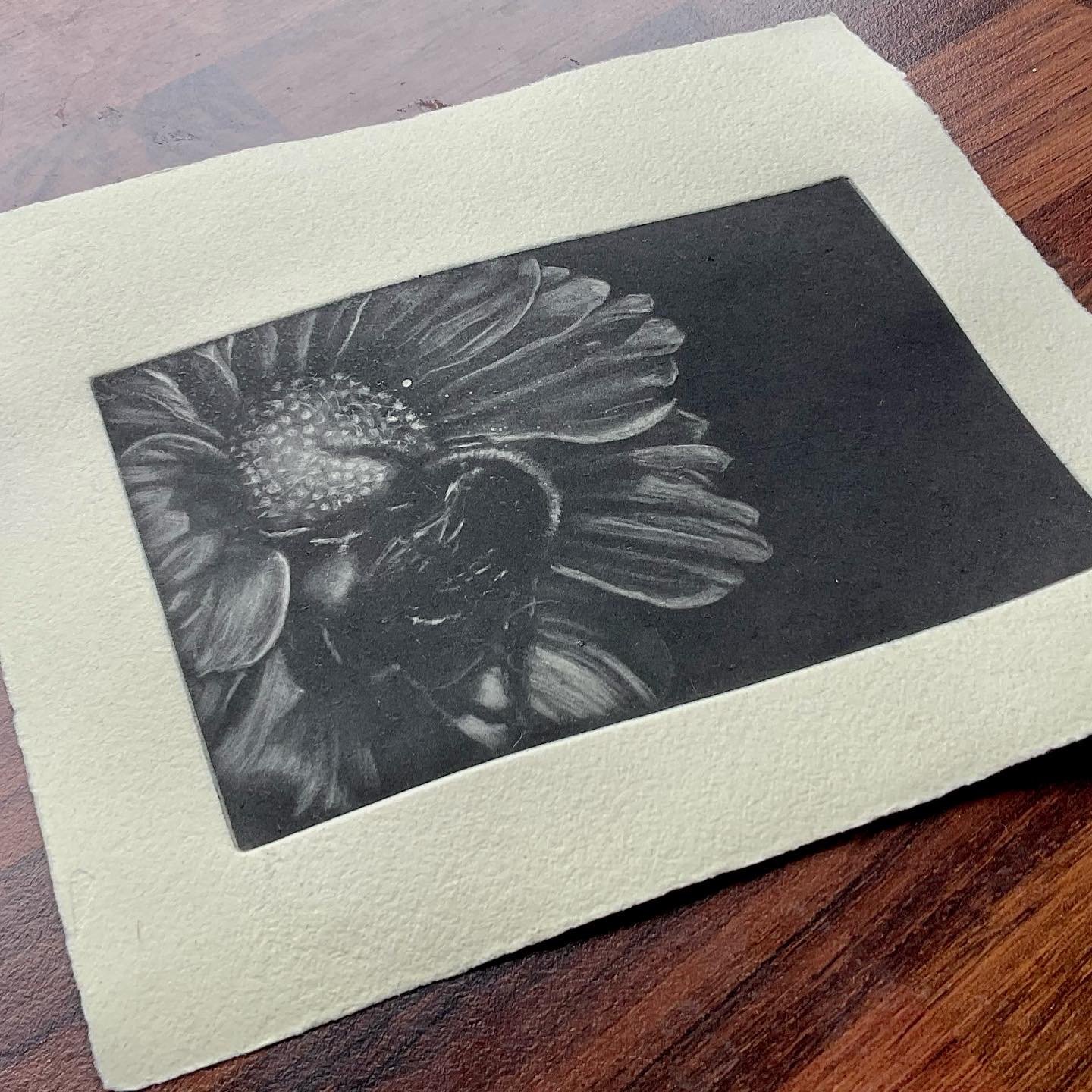 A black and white mezzotint print of a flower with detailed petals and a bee on the flower,  placed on a wooden surface.