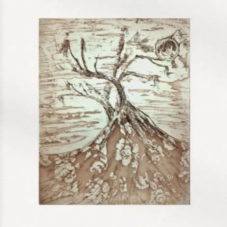 Salix 