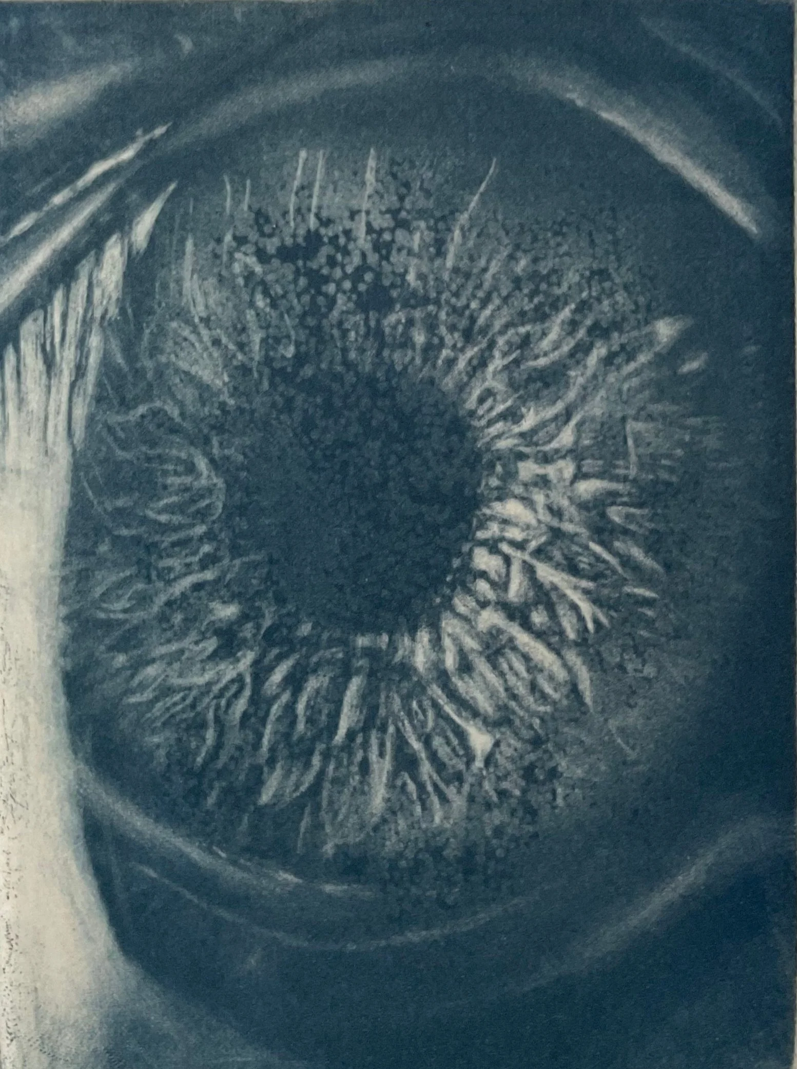 Eye, part of Circadian Rhythm