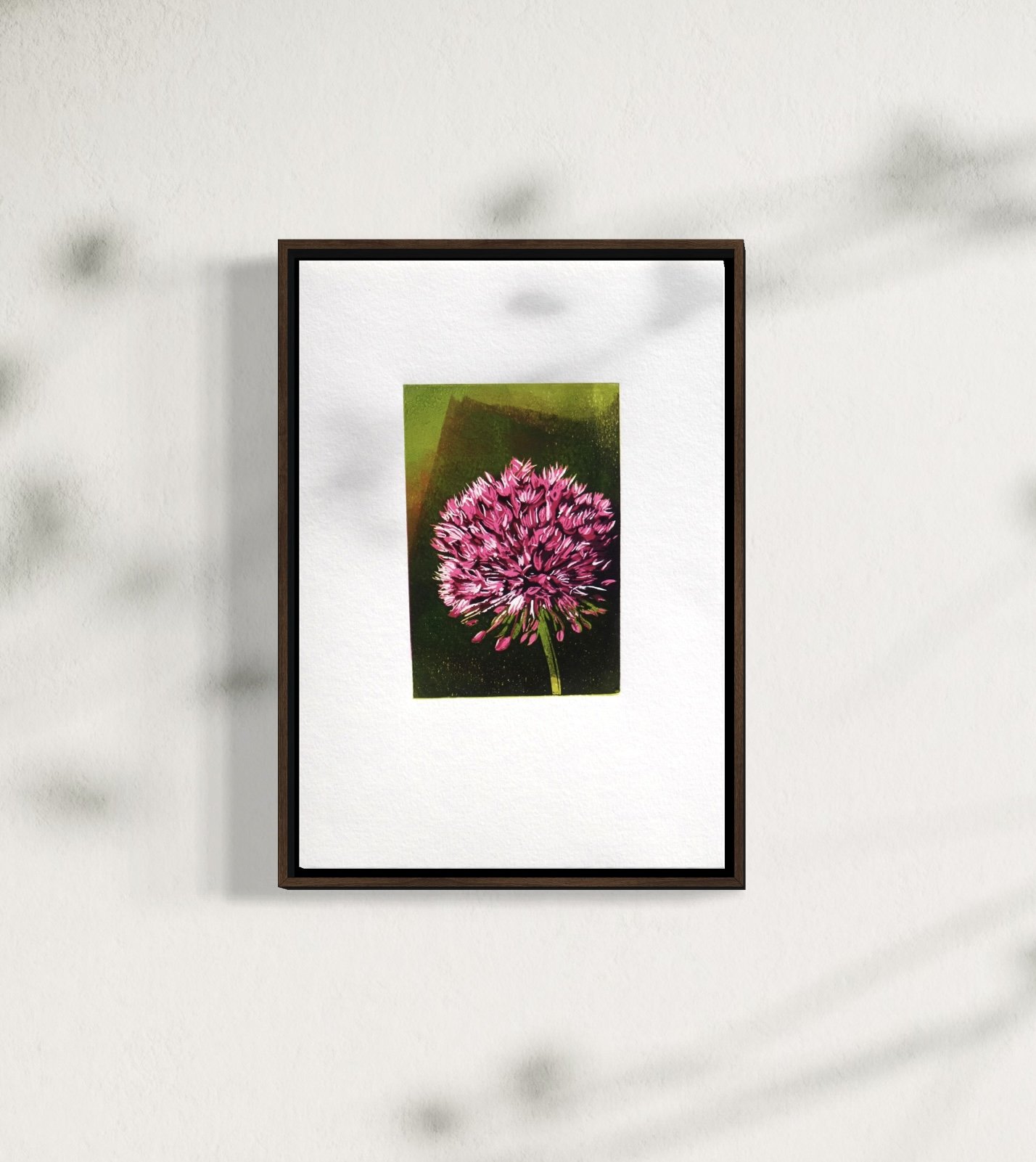 Allium - Onion
30 x 21 cm 2026