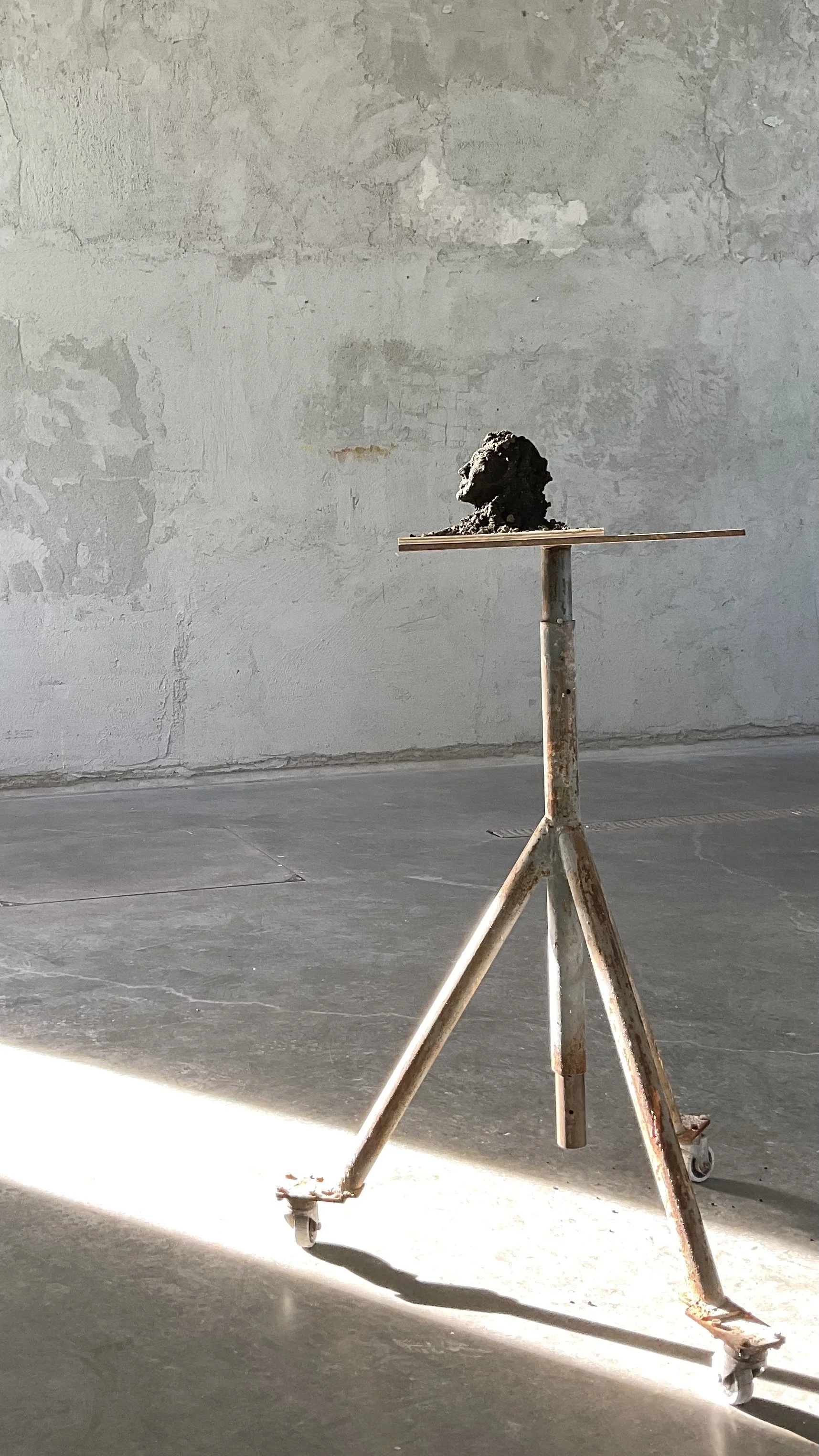 Study in clay with charcoal