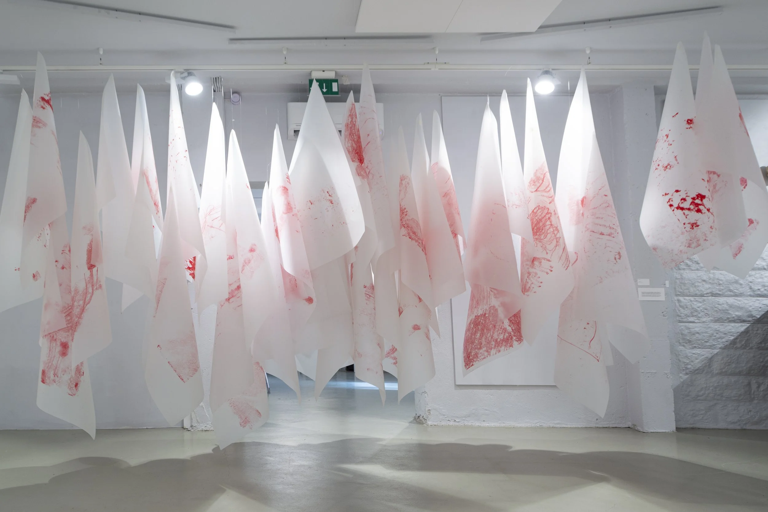 Installation "Anspent" 2024