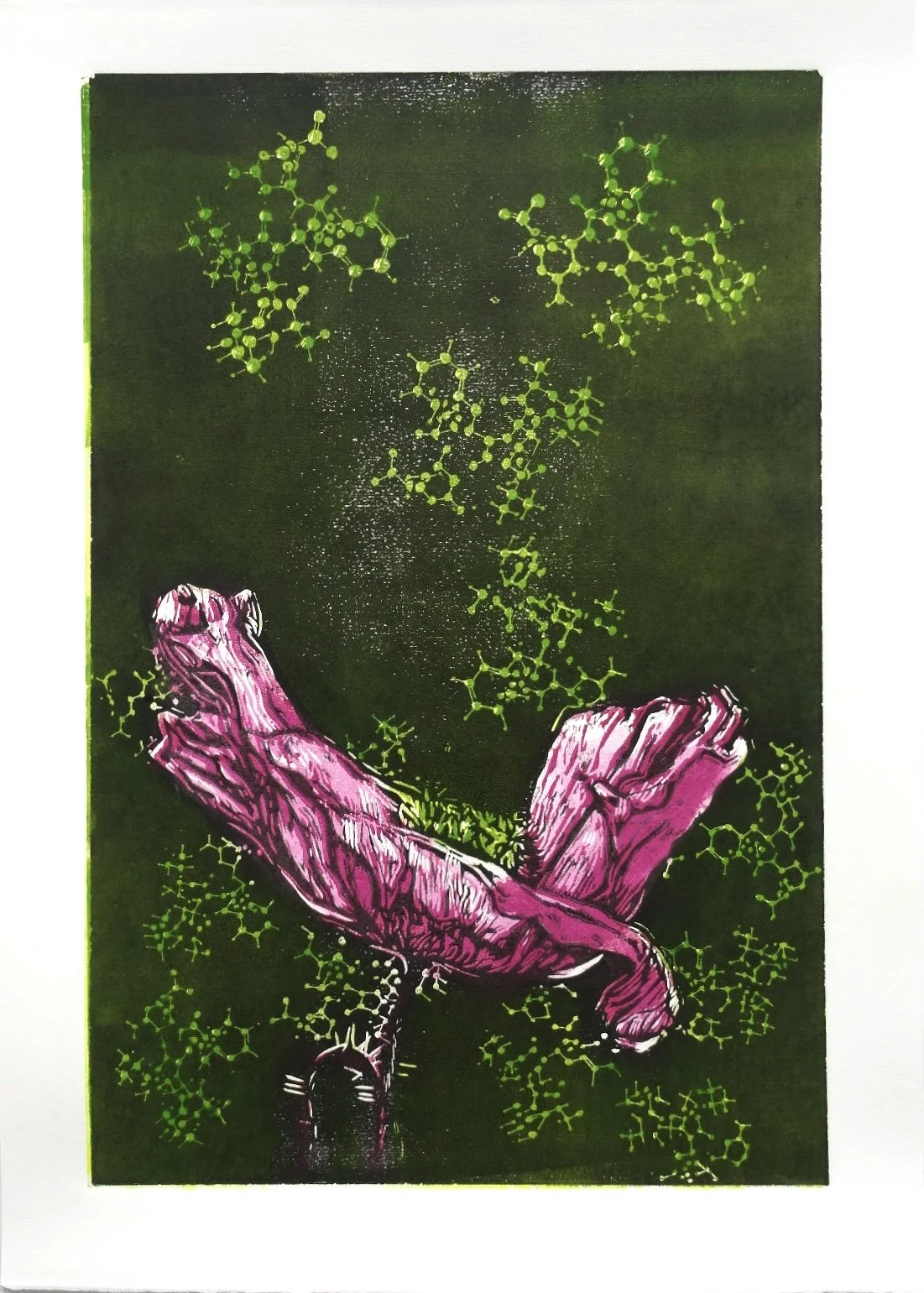 Pink papaver flower with green molecular structures and chemical formulas of the growth hormone molecule floating above, against a dark background.