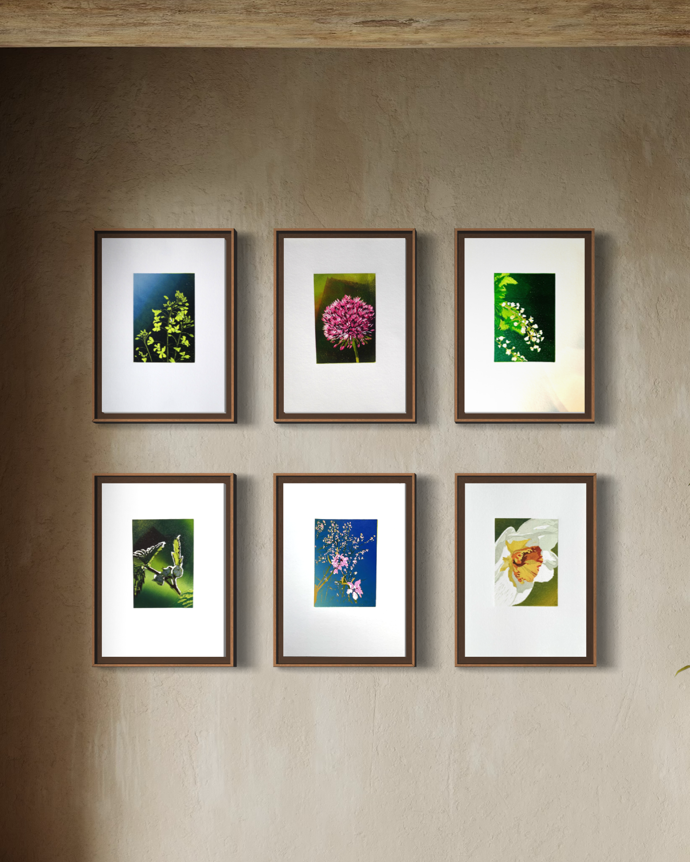 Framed botanical illustrations on a beige wall, featuring various flowers and plants.