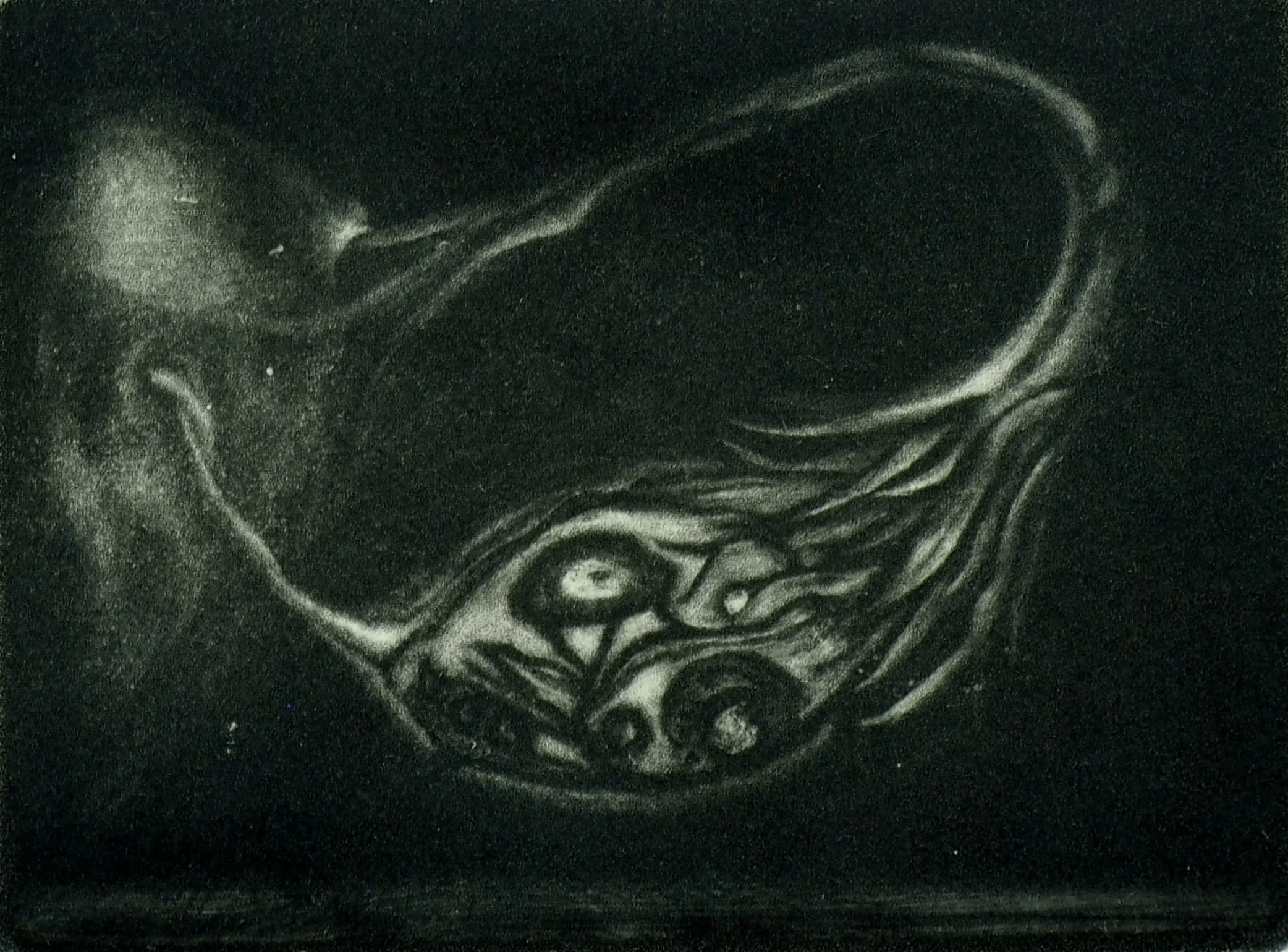 Ovary, part of Exposure I and Circadian Rhythm
