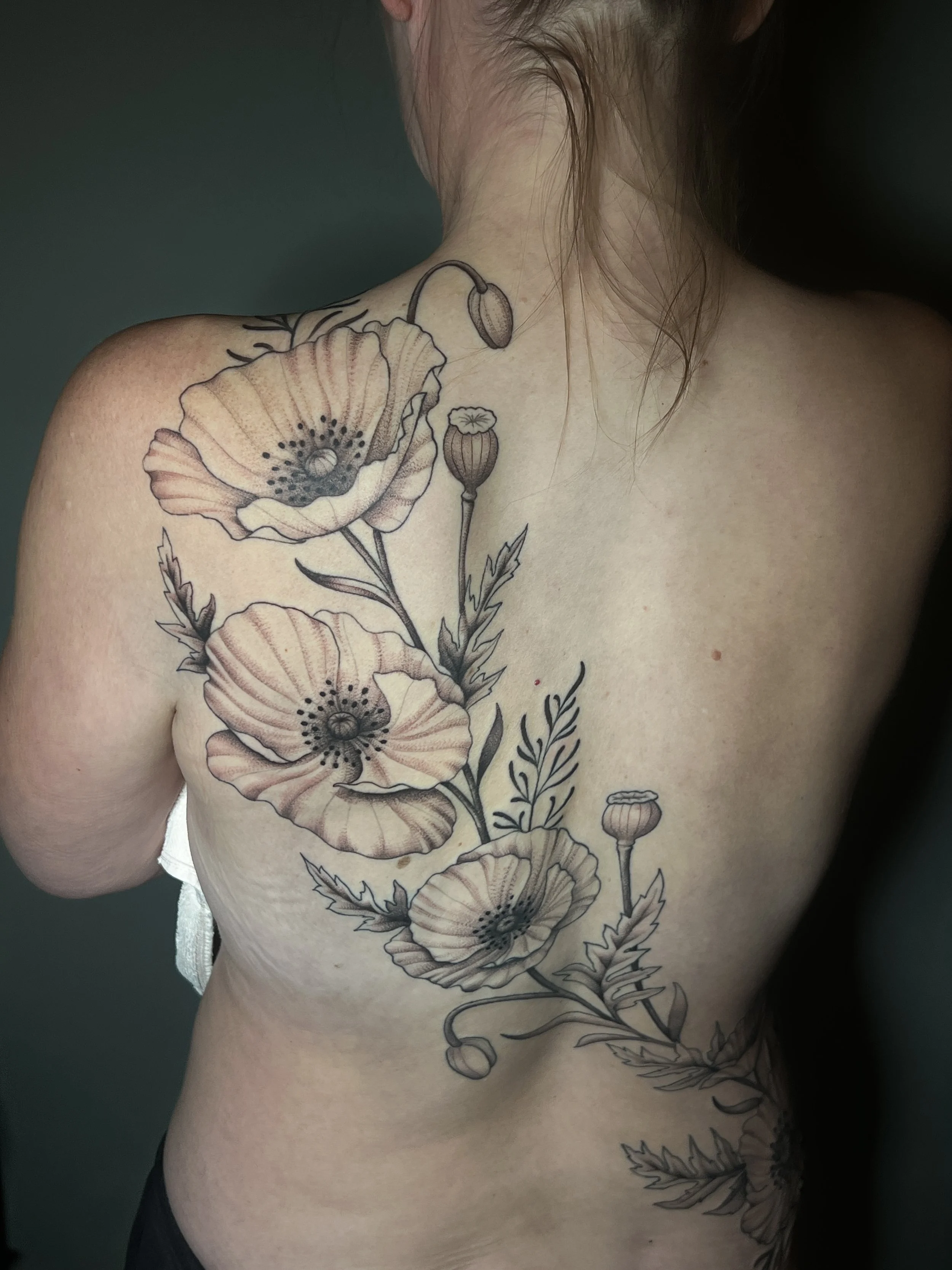 Fineline floral back tattoo with dotwork and soft details, designed and tattooed by Maya Wild at Sub Rosa Tattoo Studio in Grants Pass, Oregon. This flowing piece highlights asymmetry and botanical illustration. Ideal for clients looking for feminine