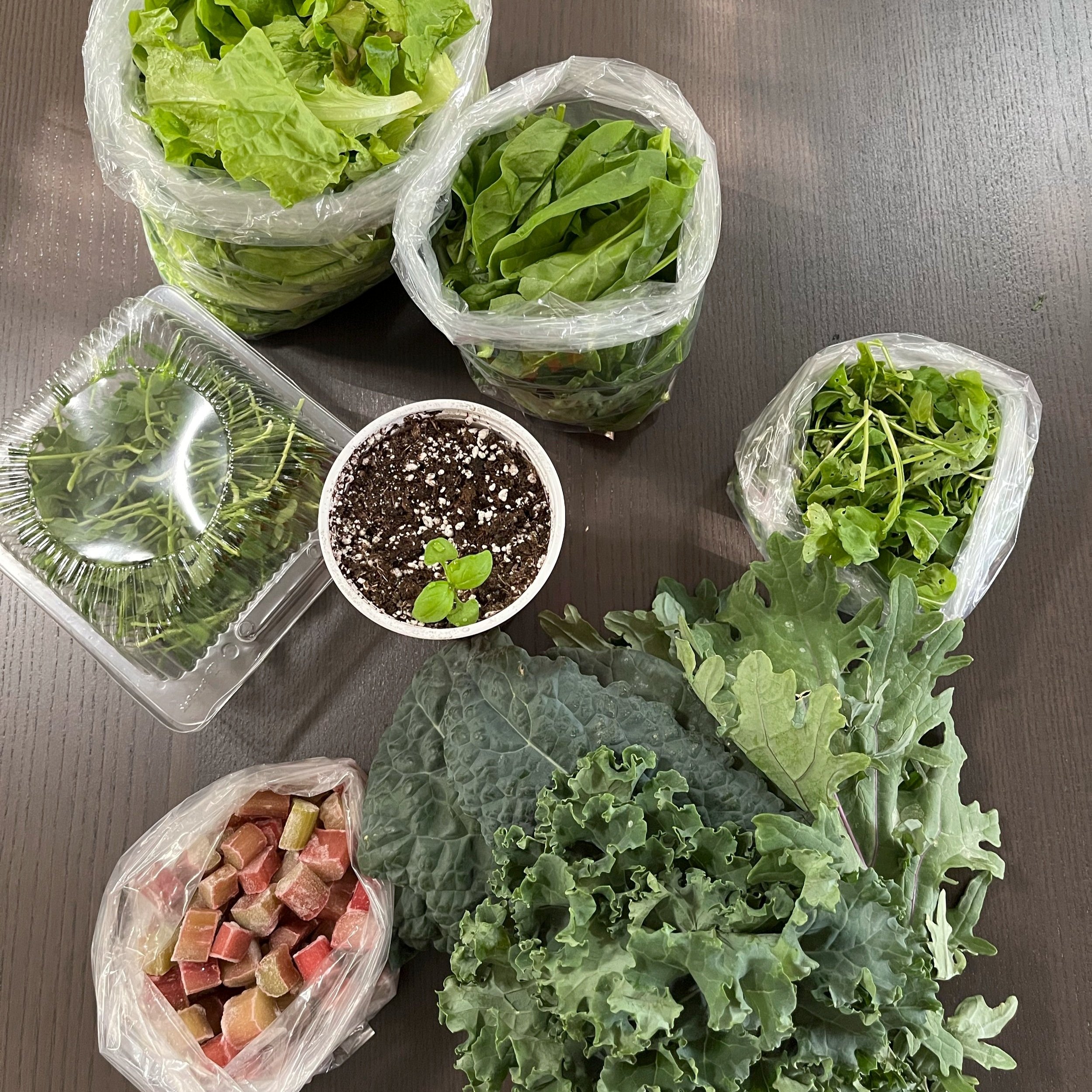 Week 1 CSA Veggie Haul