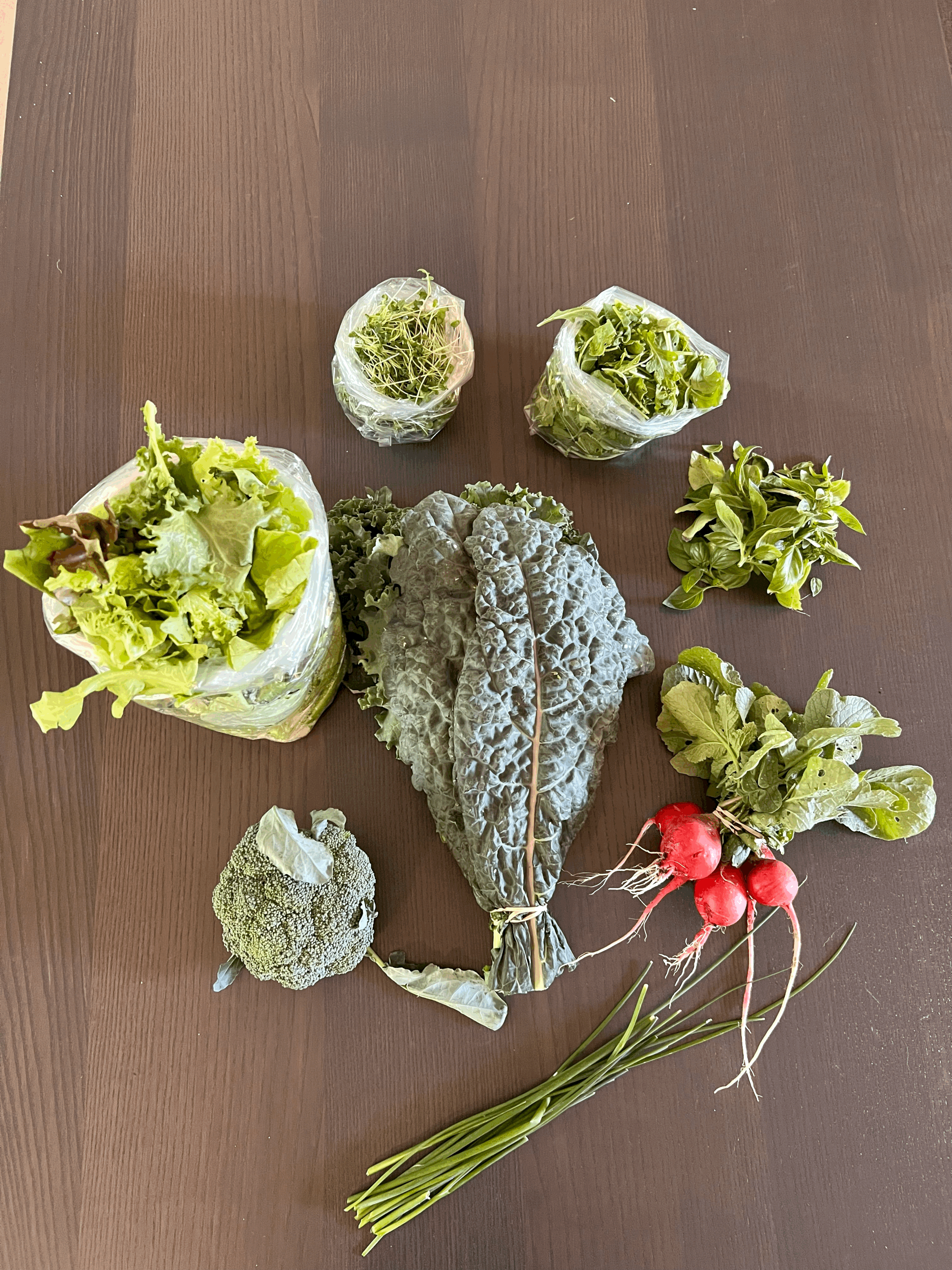 Week 2 CSA Veggie Haul 